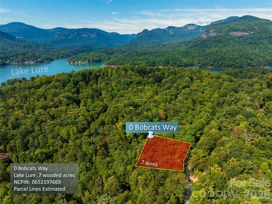 0 BOBCAT WAY # 279, LAKE LURE, NC 28746 - Image 8216fd0a47adc8f99d75dafbd7337475/1804018180