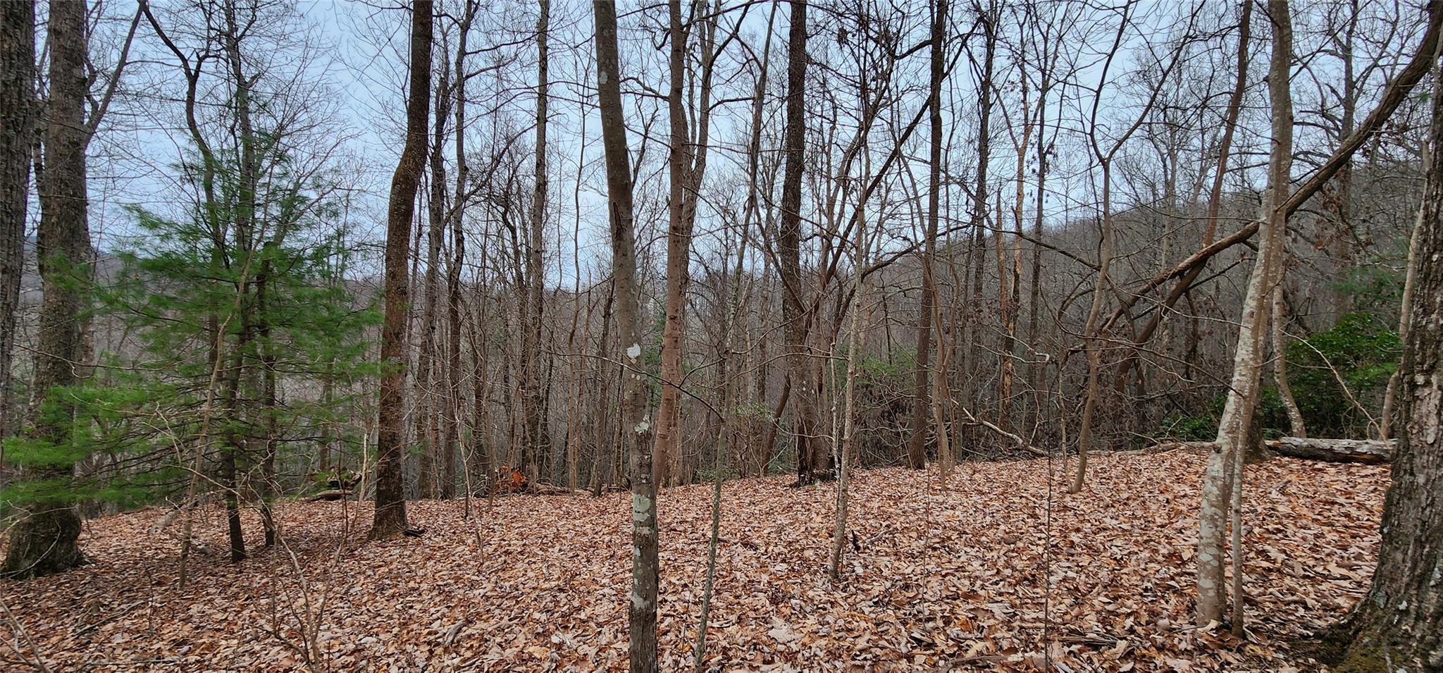 4.17 Acres Spruce Lane 28