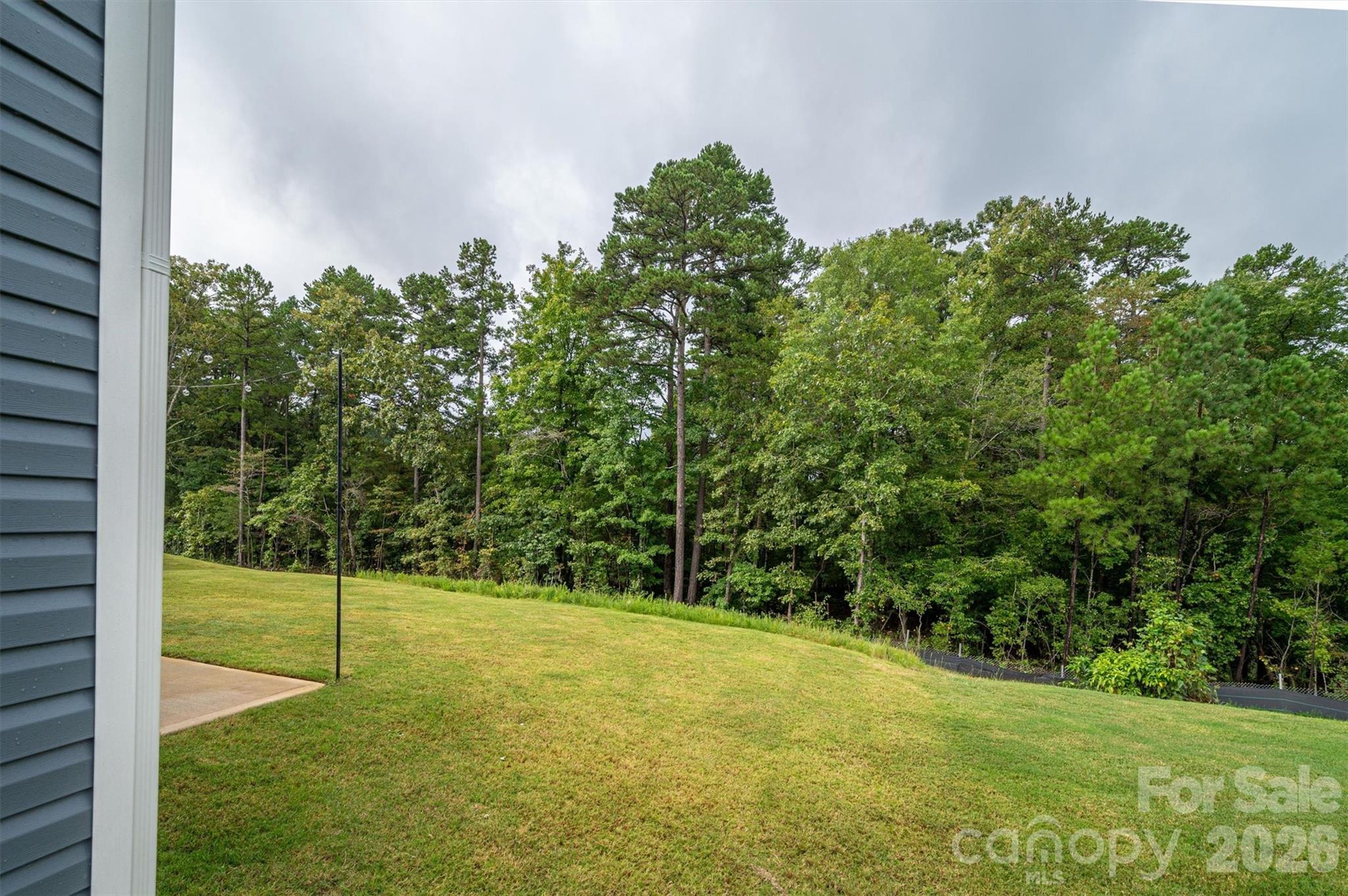 The Mills at Long Creek - Residential