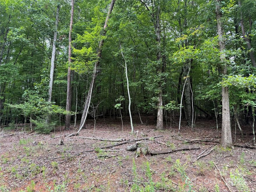 Don't miss this opportunity to own a gently sloping, wooded corner lot in Haven Heights. With 1.2 acres, this property offers privacy, natural beauty, and the ideal setting for your future home. Located just minutes from town. Whether you're looking to build now or invest for the future, this lot is a must-see. Lot 111 is also available if more land is wanted. Call today for your showing!!
