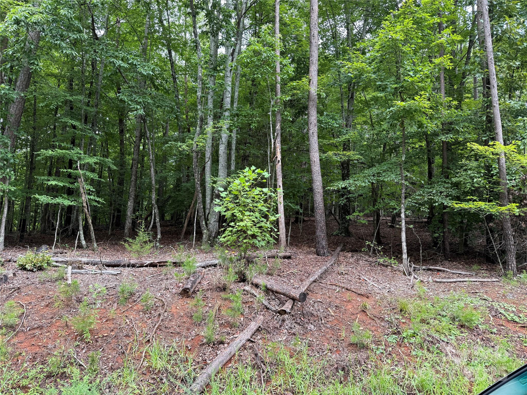 00 Woodchuck Lane 110