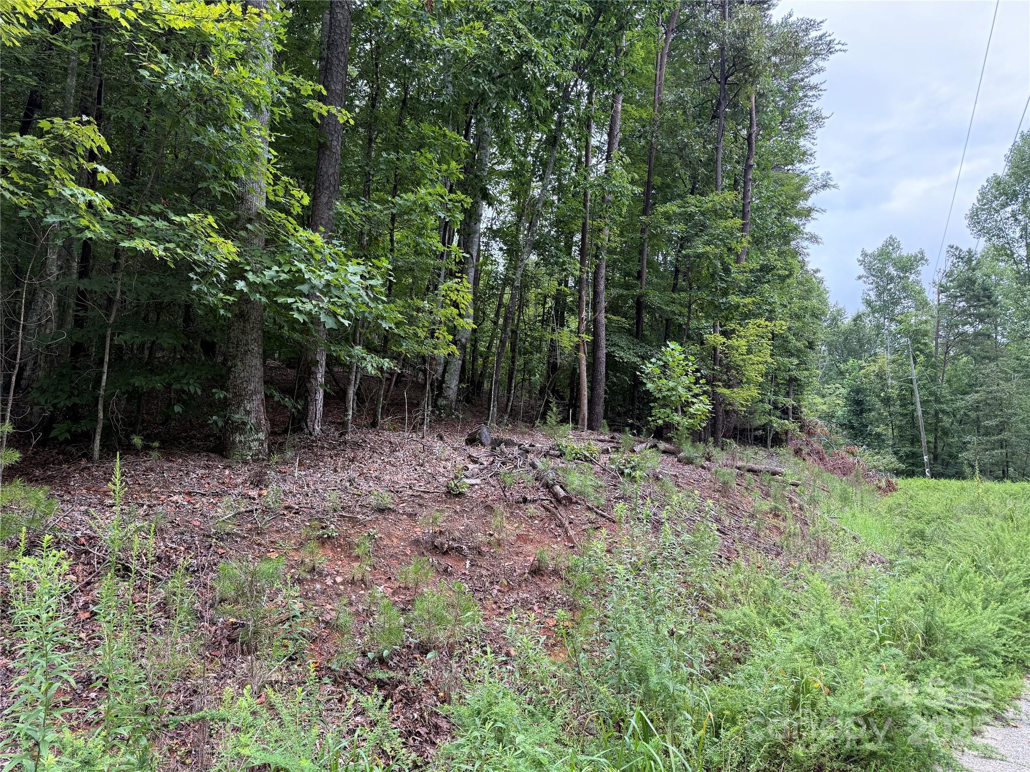 00 Woodchuck Lane 110