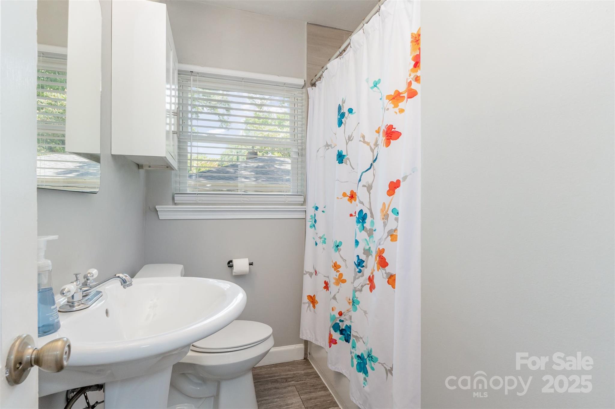 Charlotte, North Carolina 28205, United States, 3 Bedrooms Bedrooms, ,1 BathroomBathrooms,Residential,Active,184025