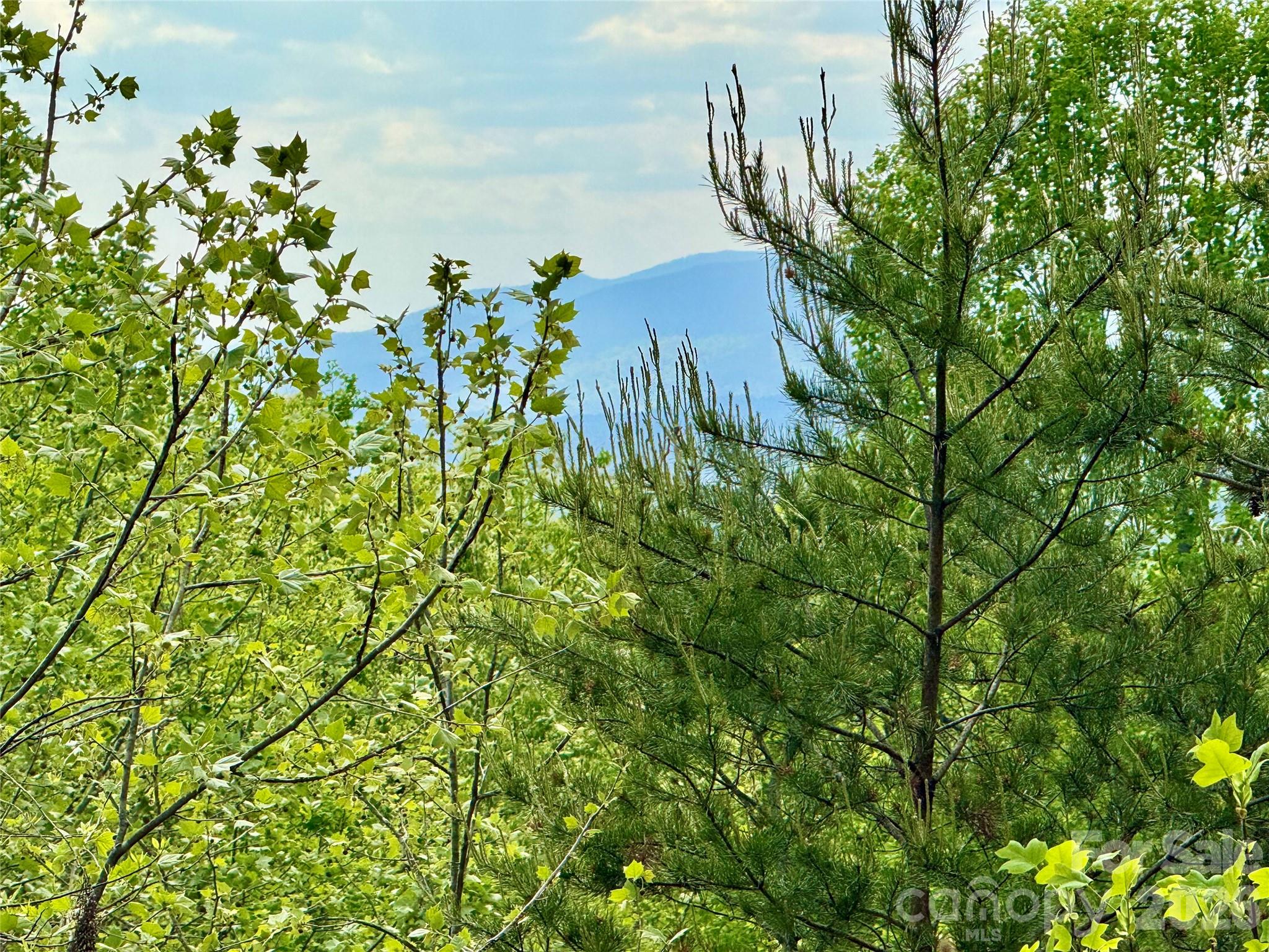 The Coves Mountain River Club - Land