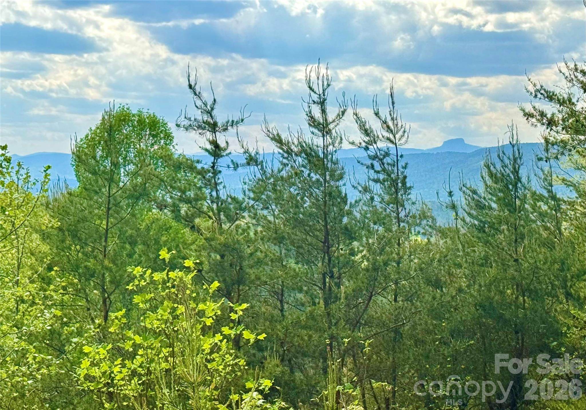 The Coves Mountain River Club - Land