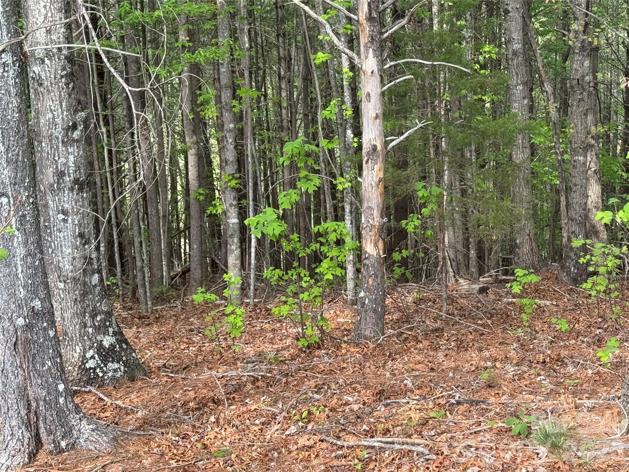 The Coves Mountain River Club - Land