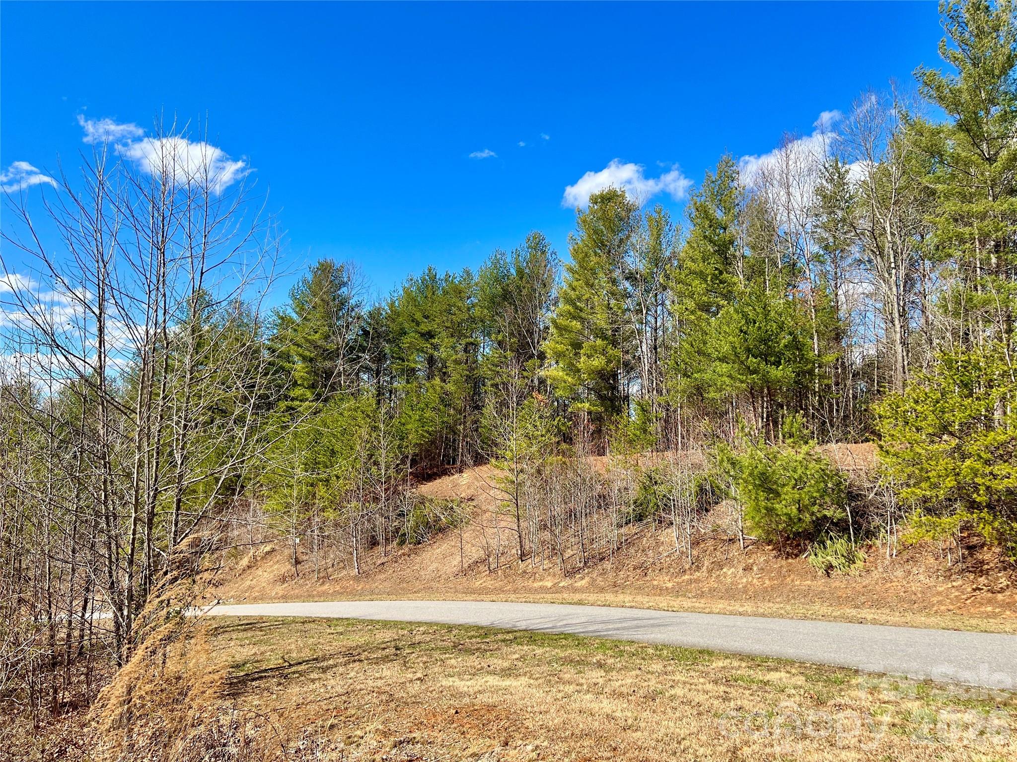 The Coves Mountain River Club - Land