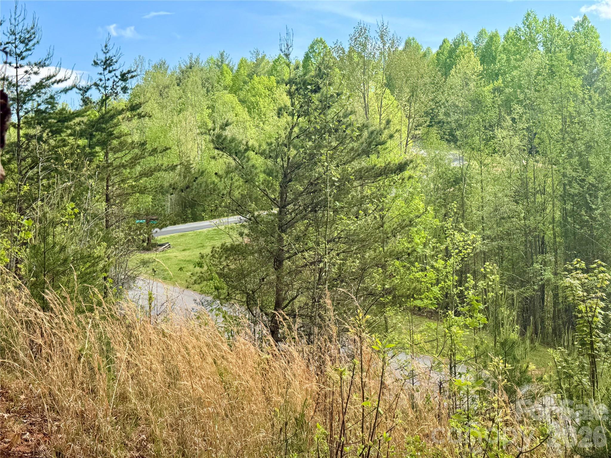 The Coves Mountain River Club - Land