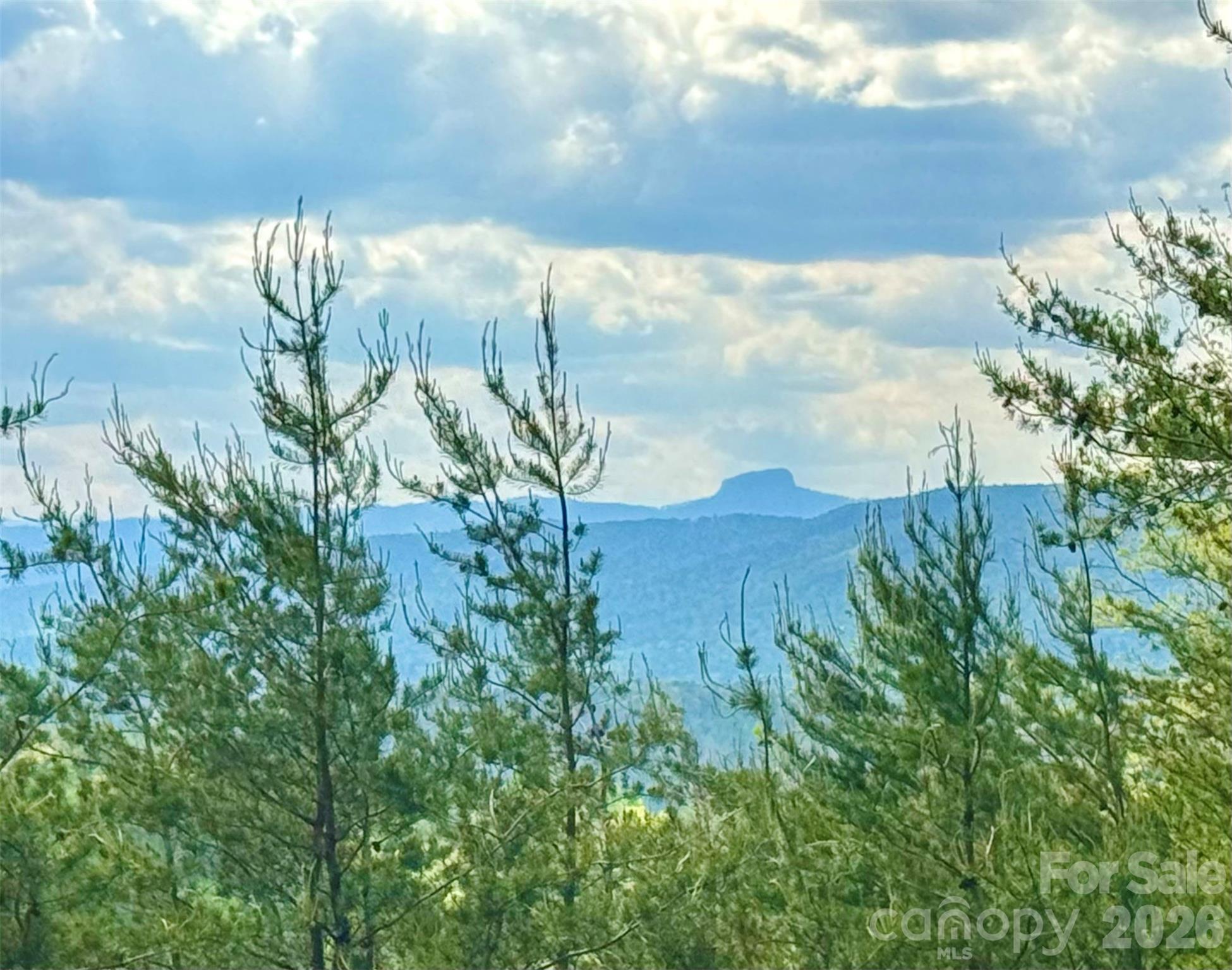 The Coves Mountain River Club - Land