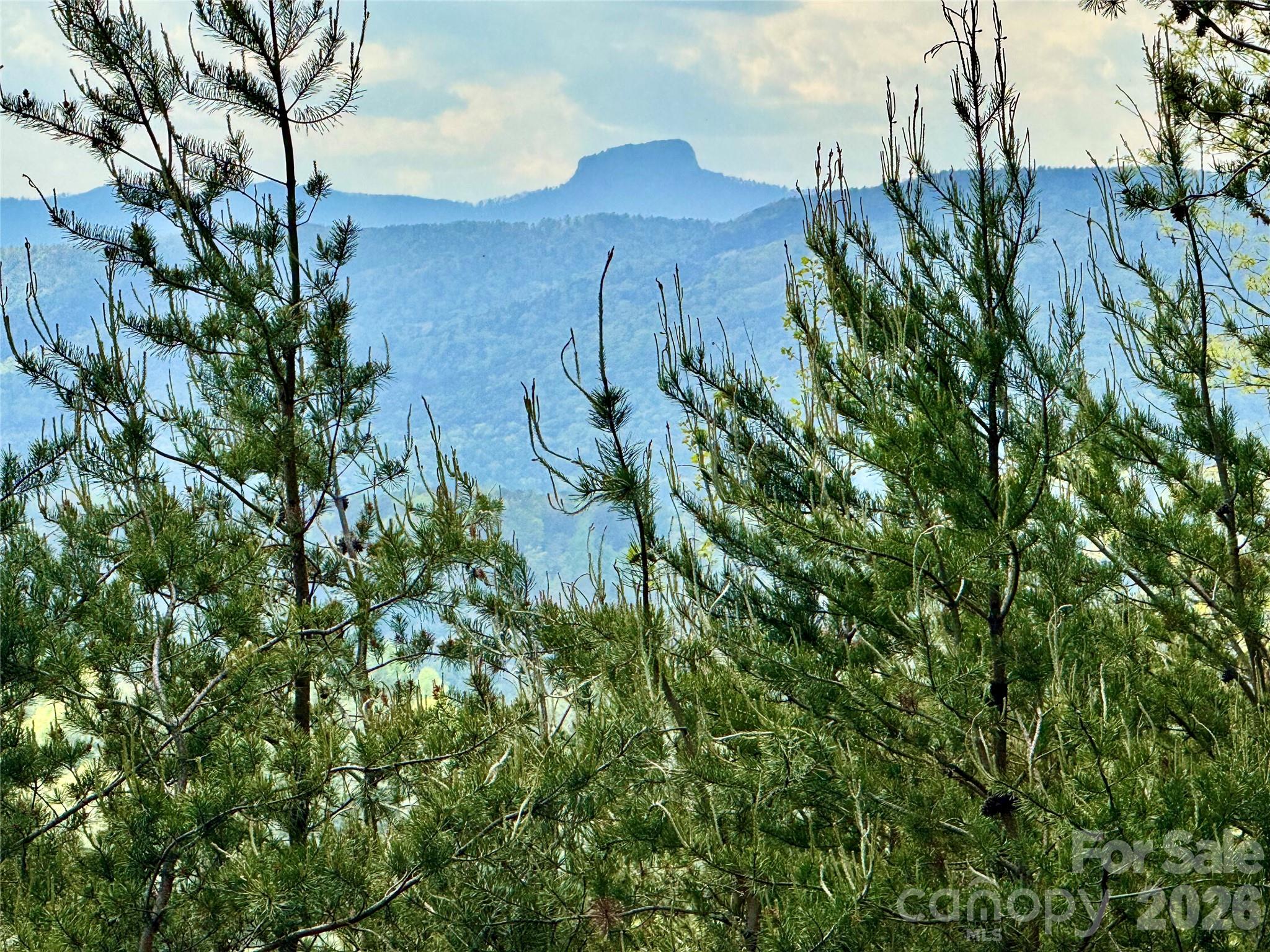 The Coves Mountain River Club - Land