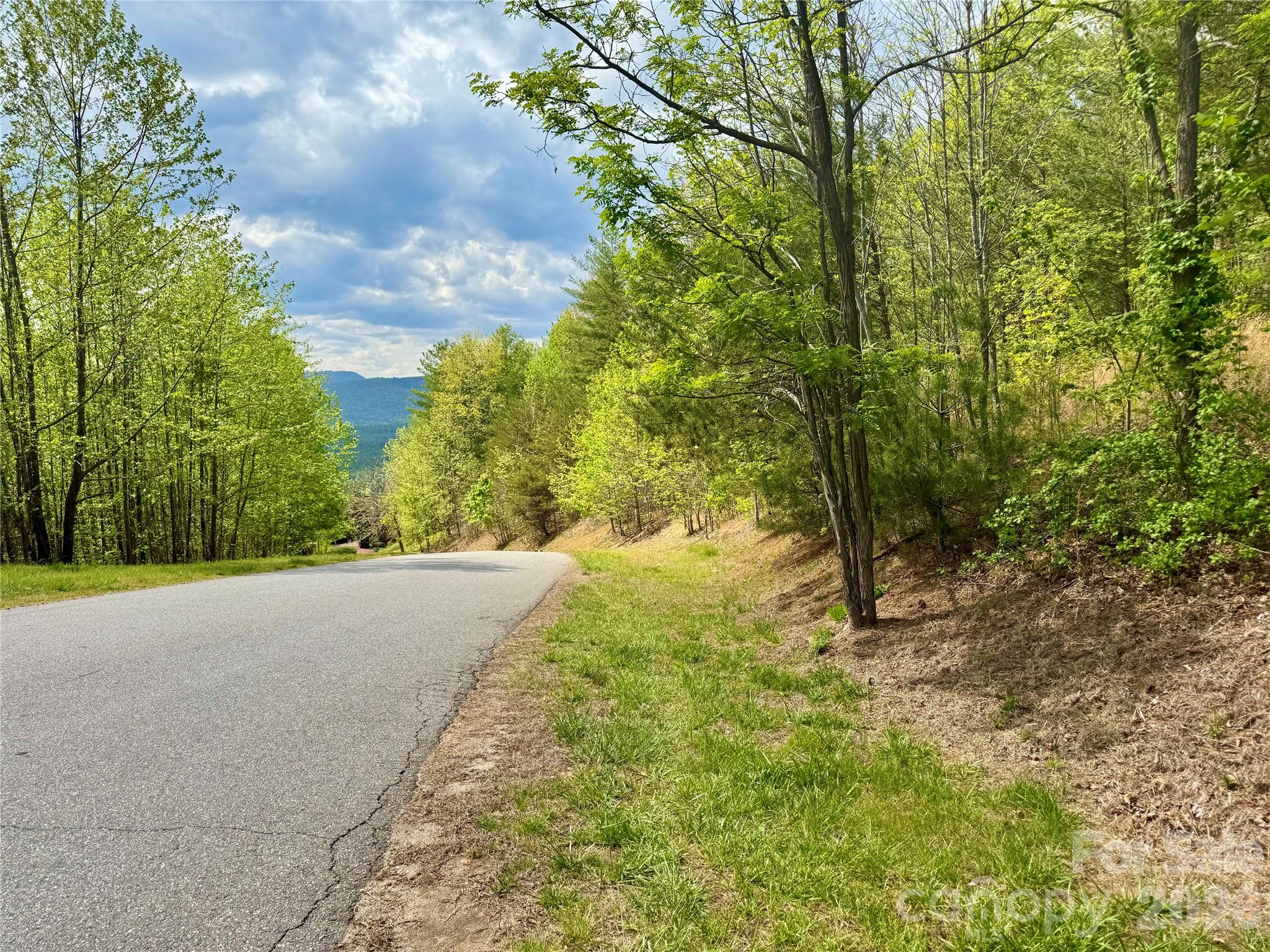 The Coves Mountain River Club - Land