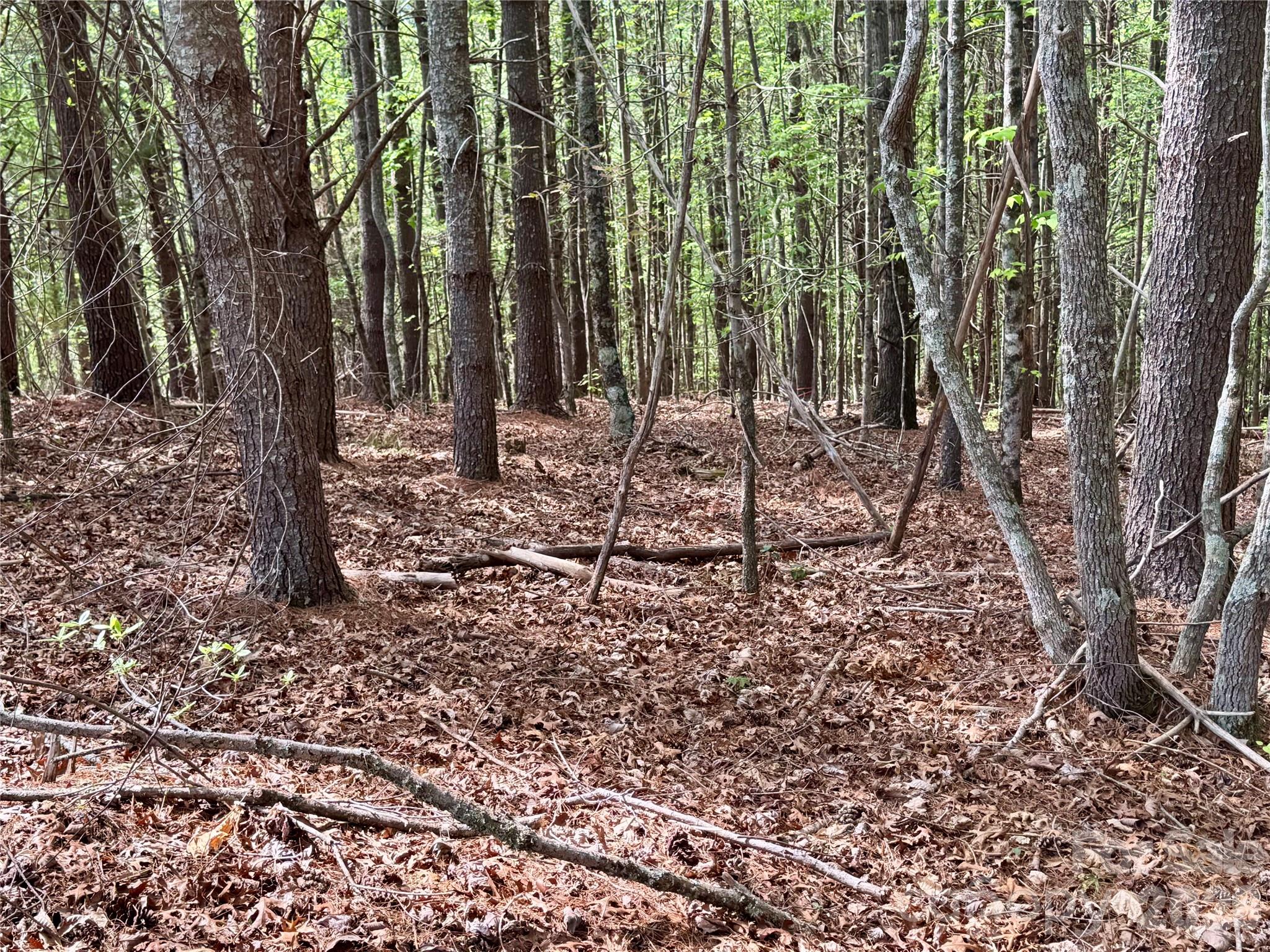 The Coves Mountain River Club - Land