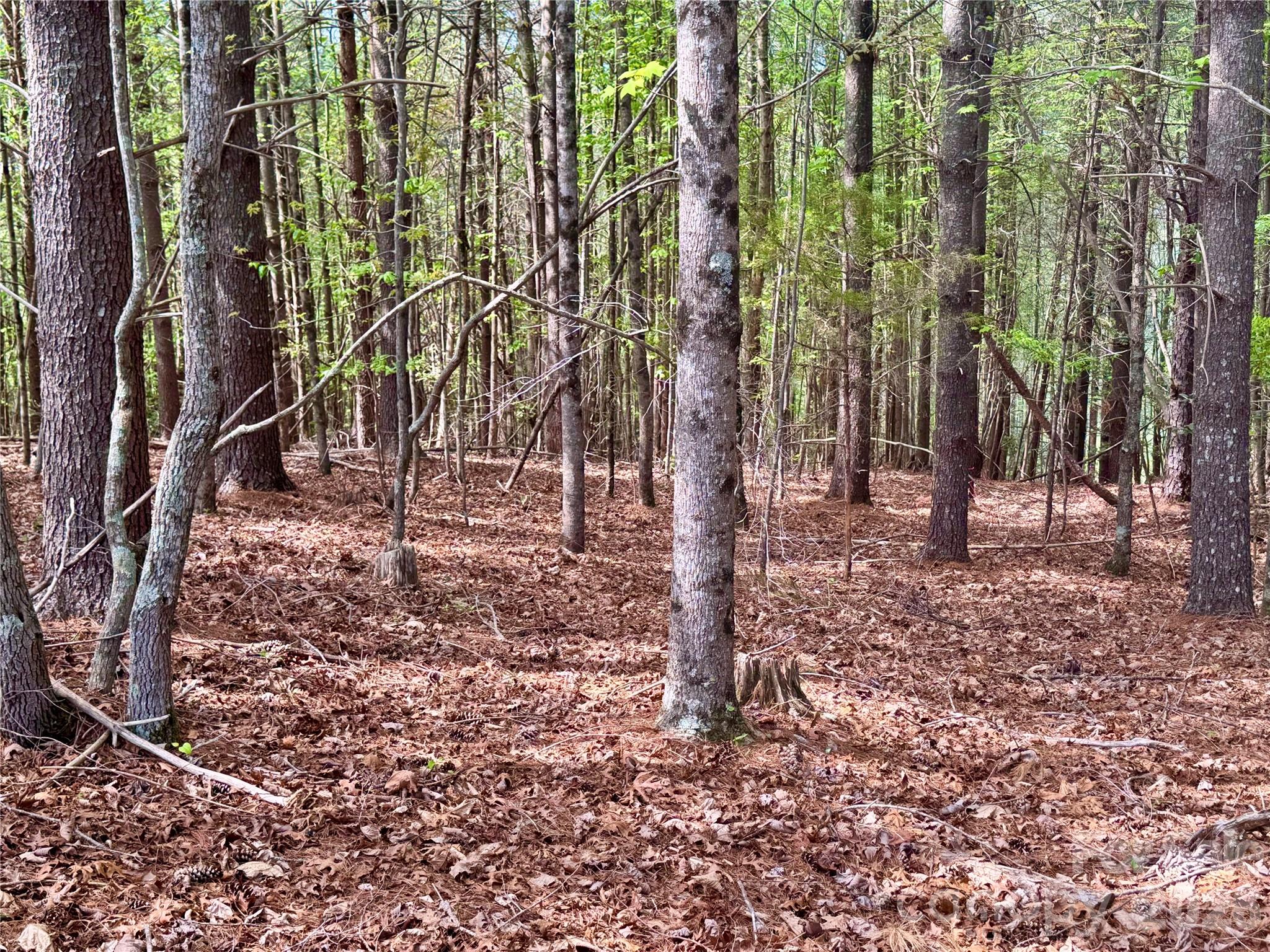 The Coves Mountain River Club - Land