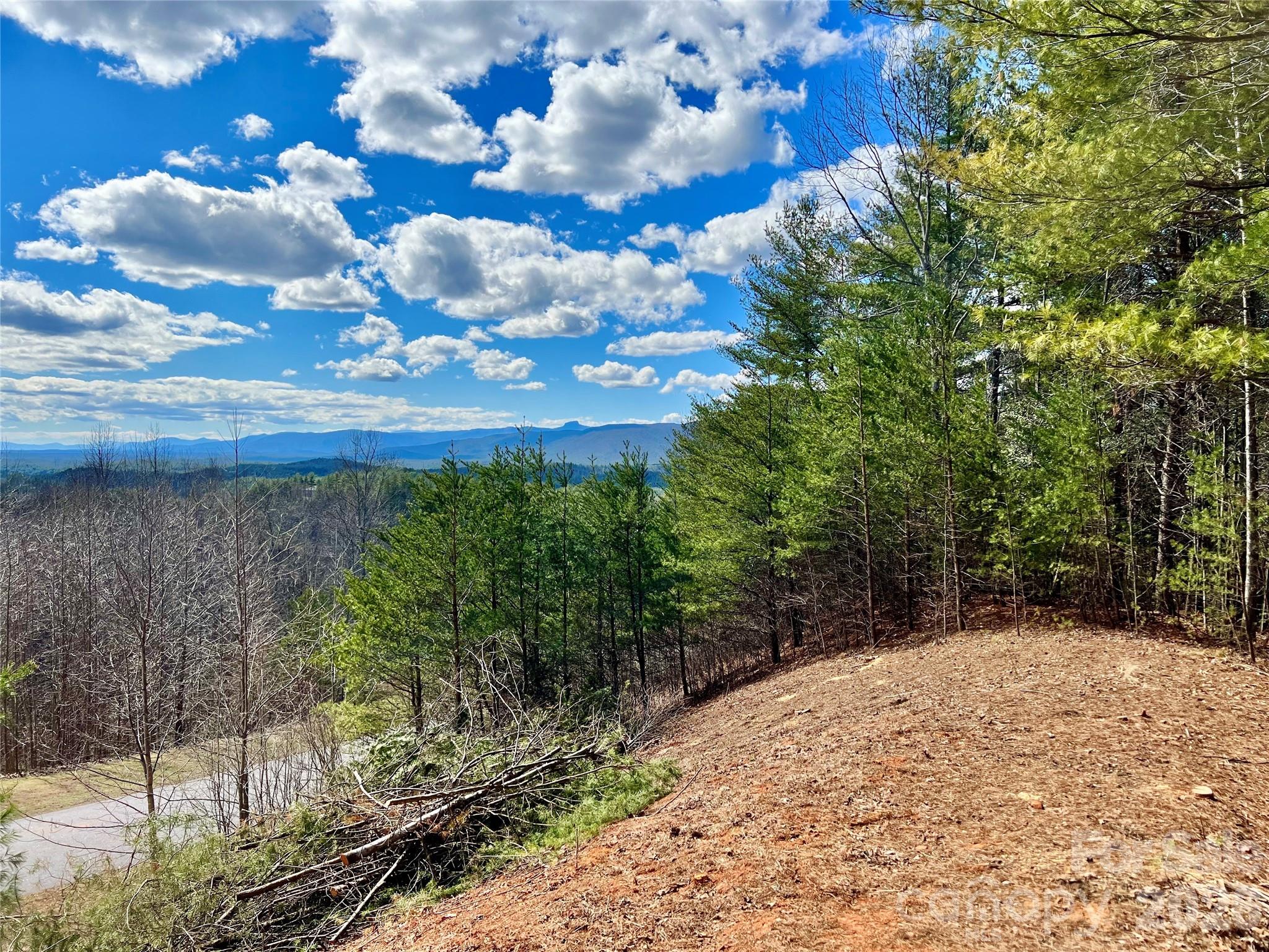 The Coves Mountain River Club - Land