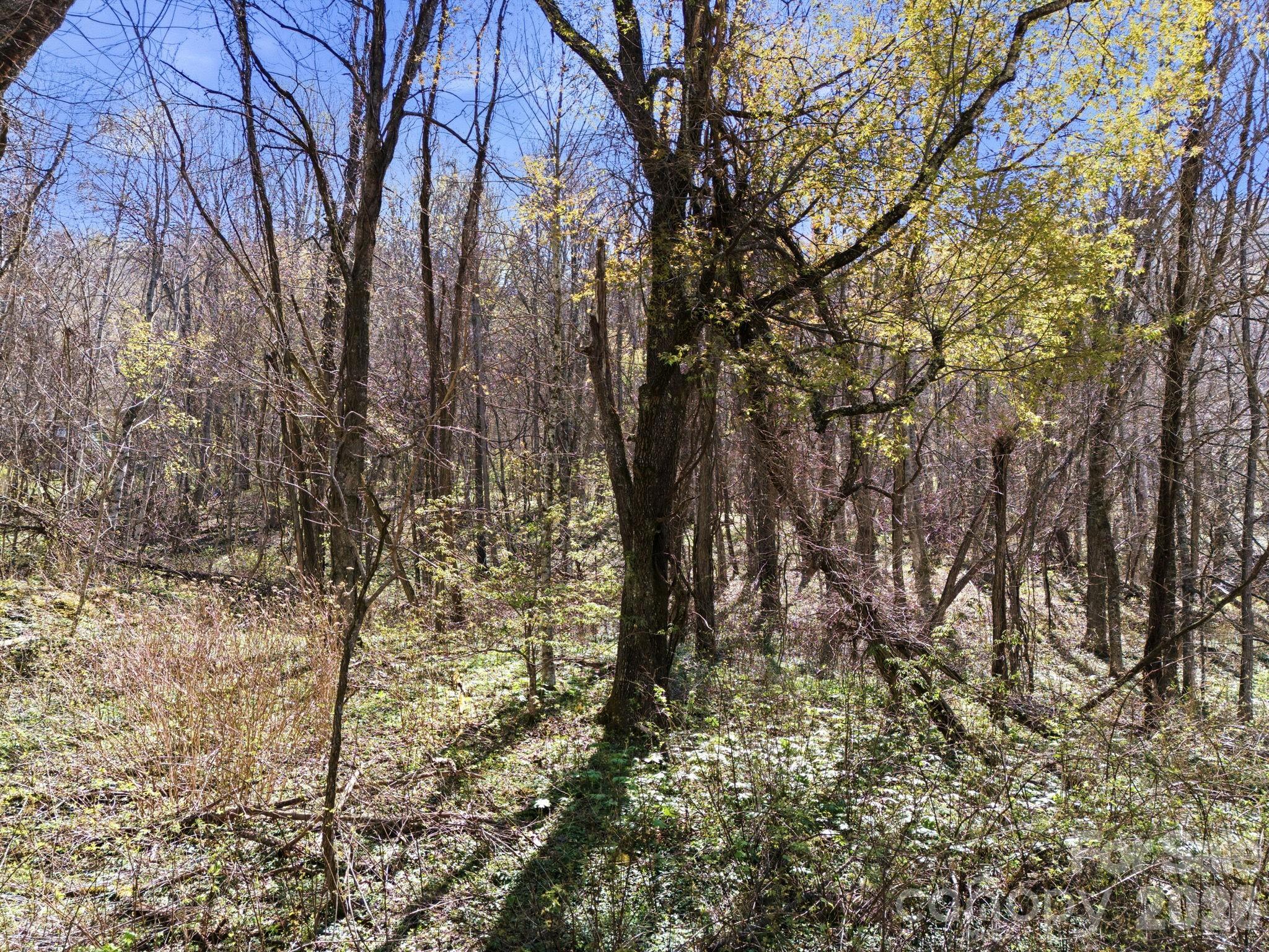 210 Apple Creek Road