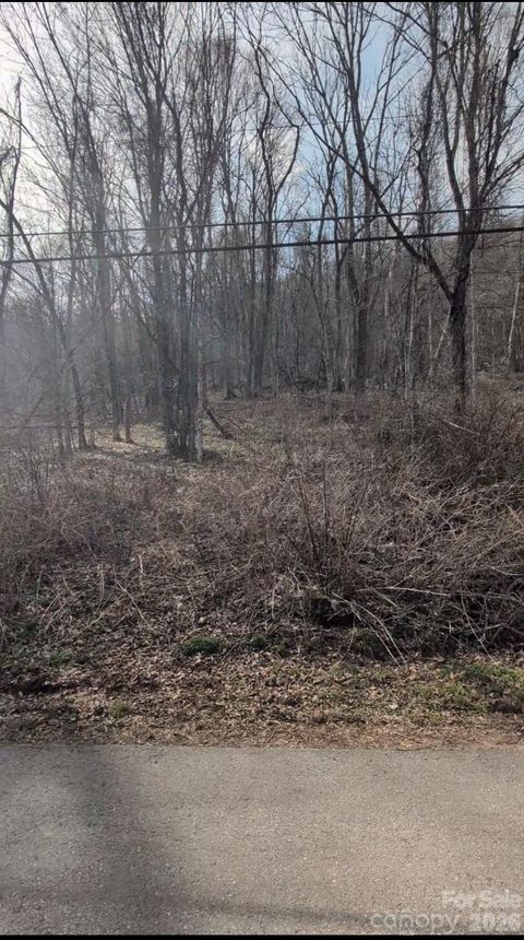 Photo of 210 Apple Creek Road, Waynesville, NC 28786 (MLS # 4362883)