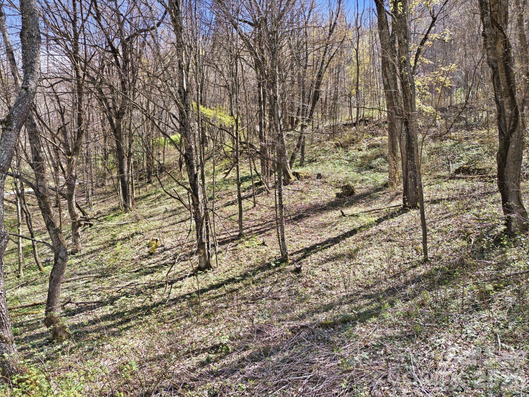 210 Apple Creek Road