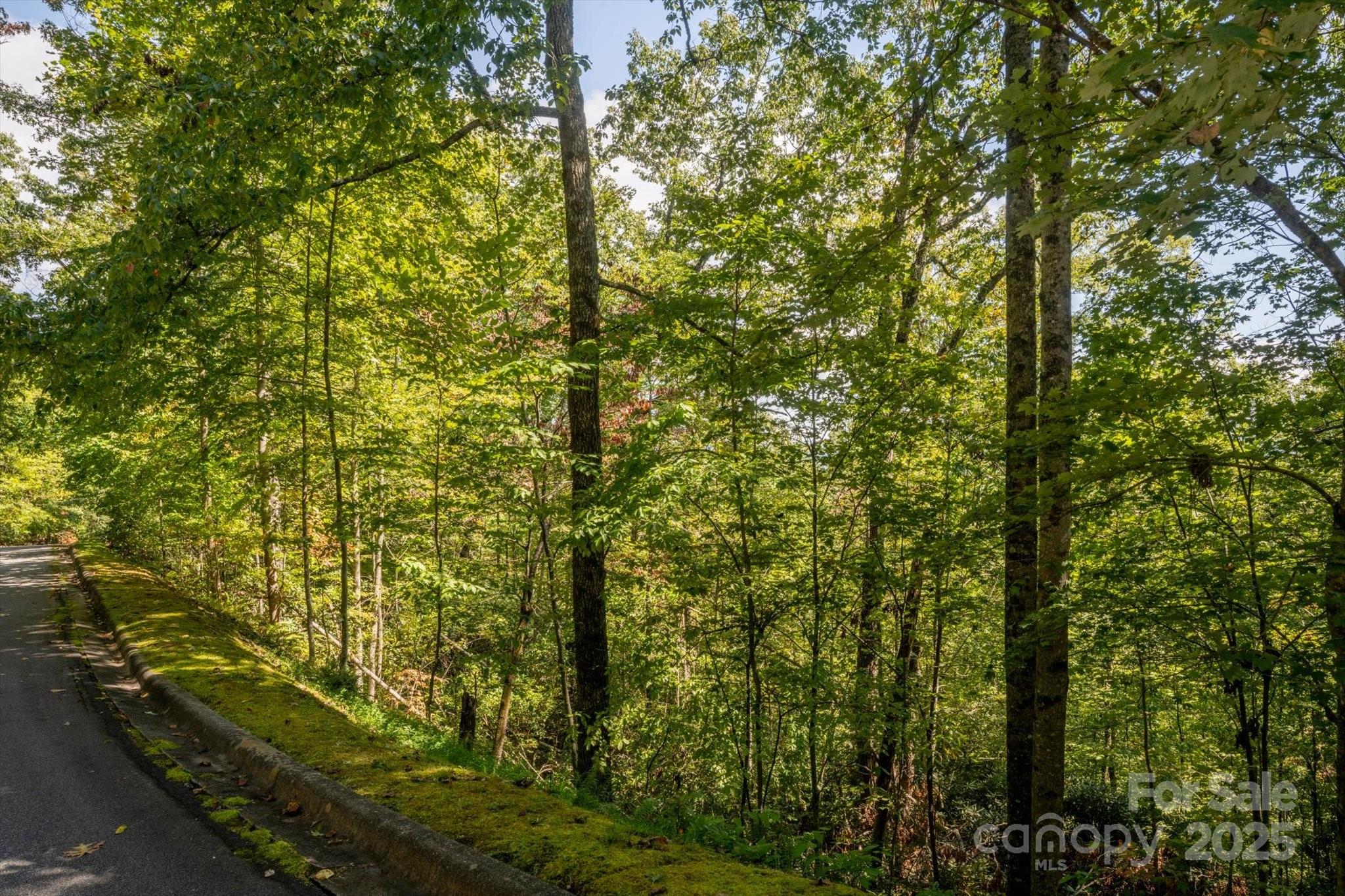 TBD Pine Mountain Trail M79