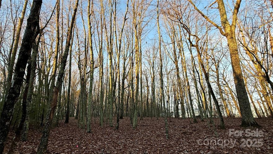 Unlock the potential of this 2.1-acre lot listing, great for building your dream home; perfectly situated in the country setting of the Bandy's High School community. The seller is Key Builders of Lincolnton, build with Key or bring your own builder. With gentle topography, this property presents the flexibility of multiple build sites with two lots sold as one listing offering an ideal canvas for your dream home or build two homes; one per parcel. Preliminary soil work has been completed and seller will finalize septic permits before closing with an accepted offer.