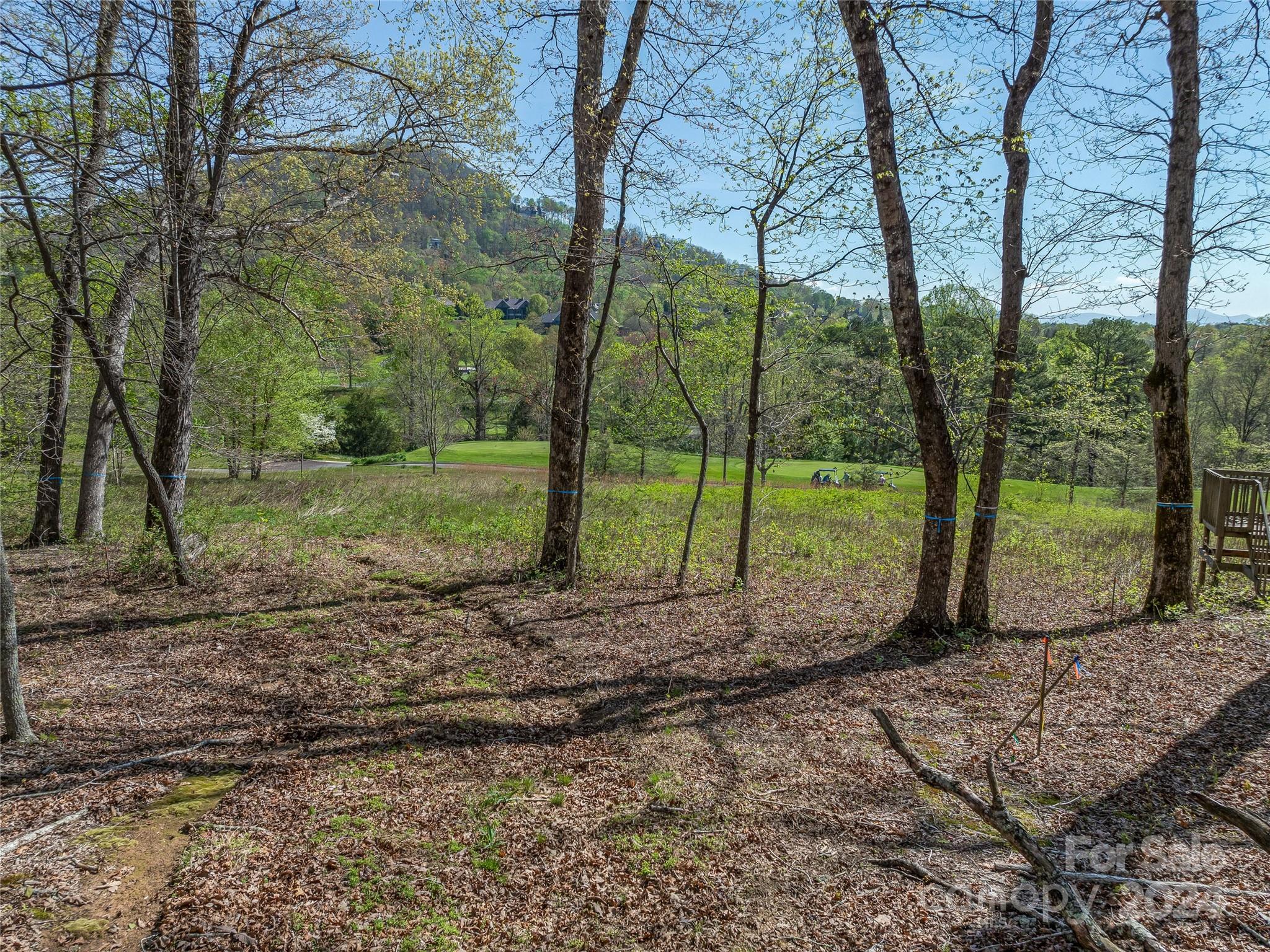 The Cliffs At Walnut Cove - Land