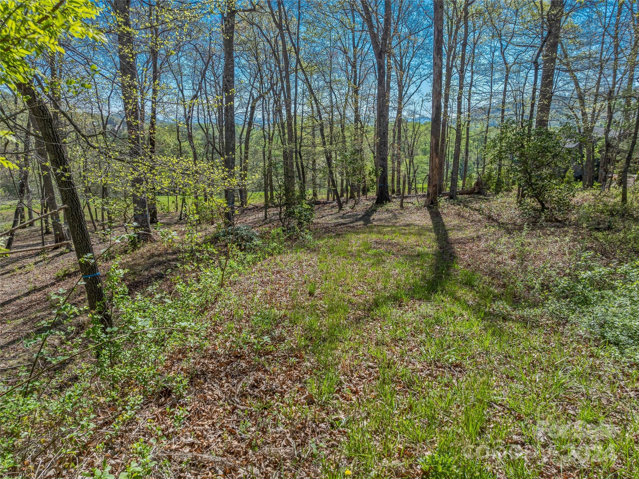The Cliffs At Walnut Cove - Land