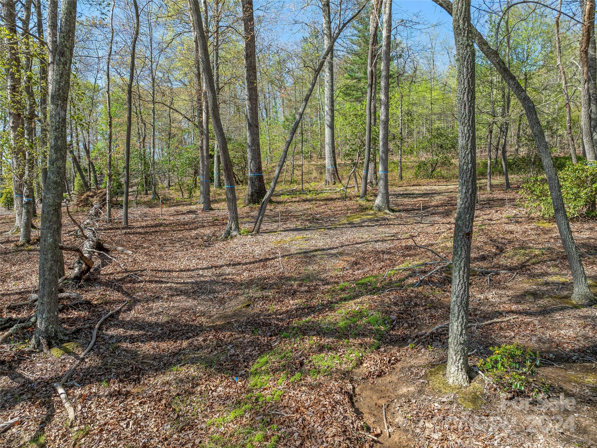 The Cliffs At Walnut Cove - Land