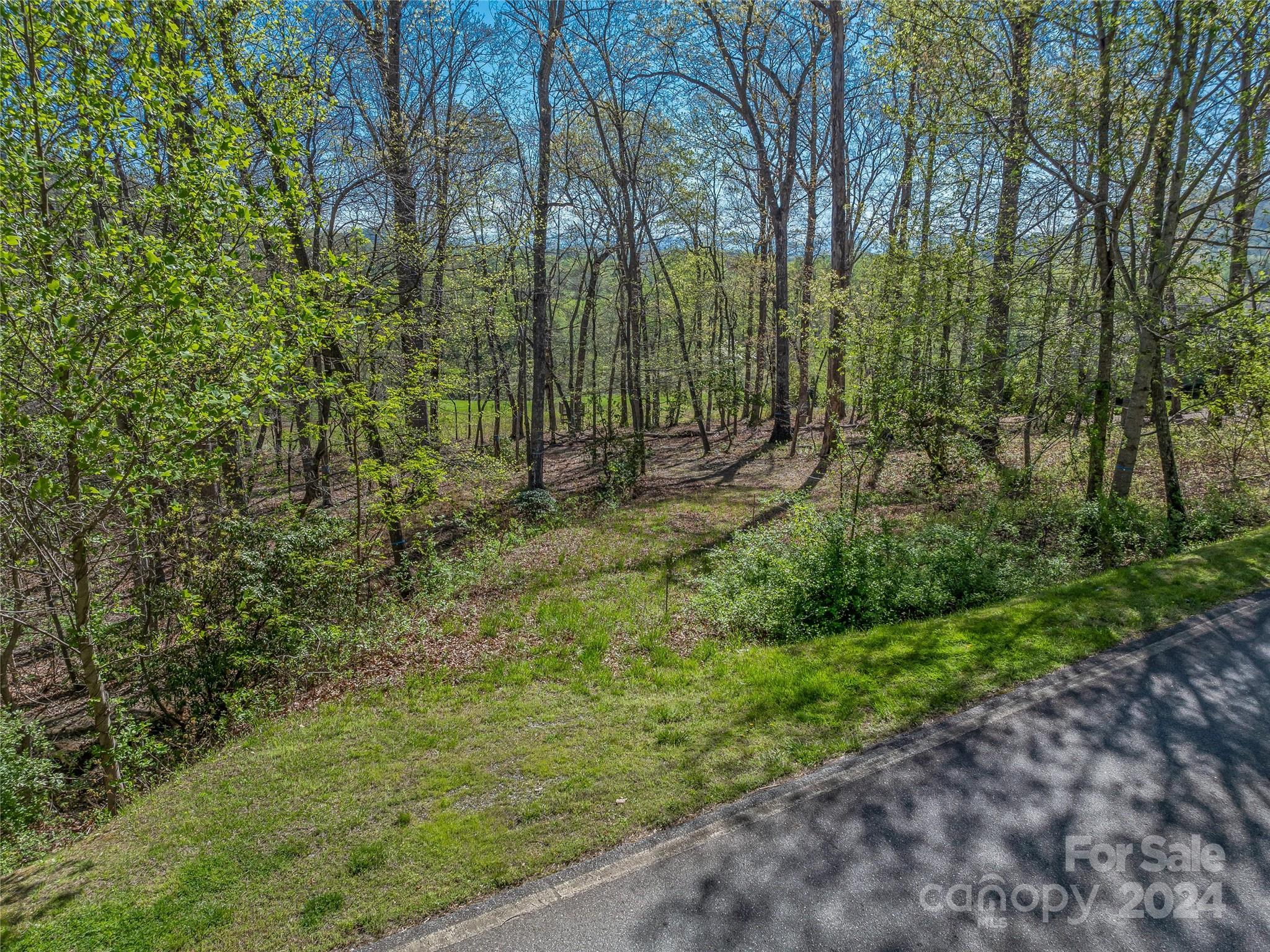 The Cliffs At Walnut Cove - Land