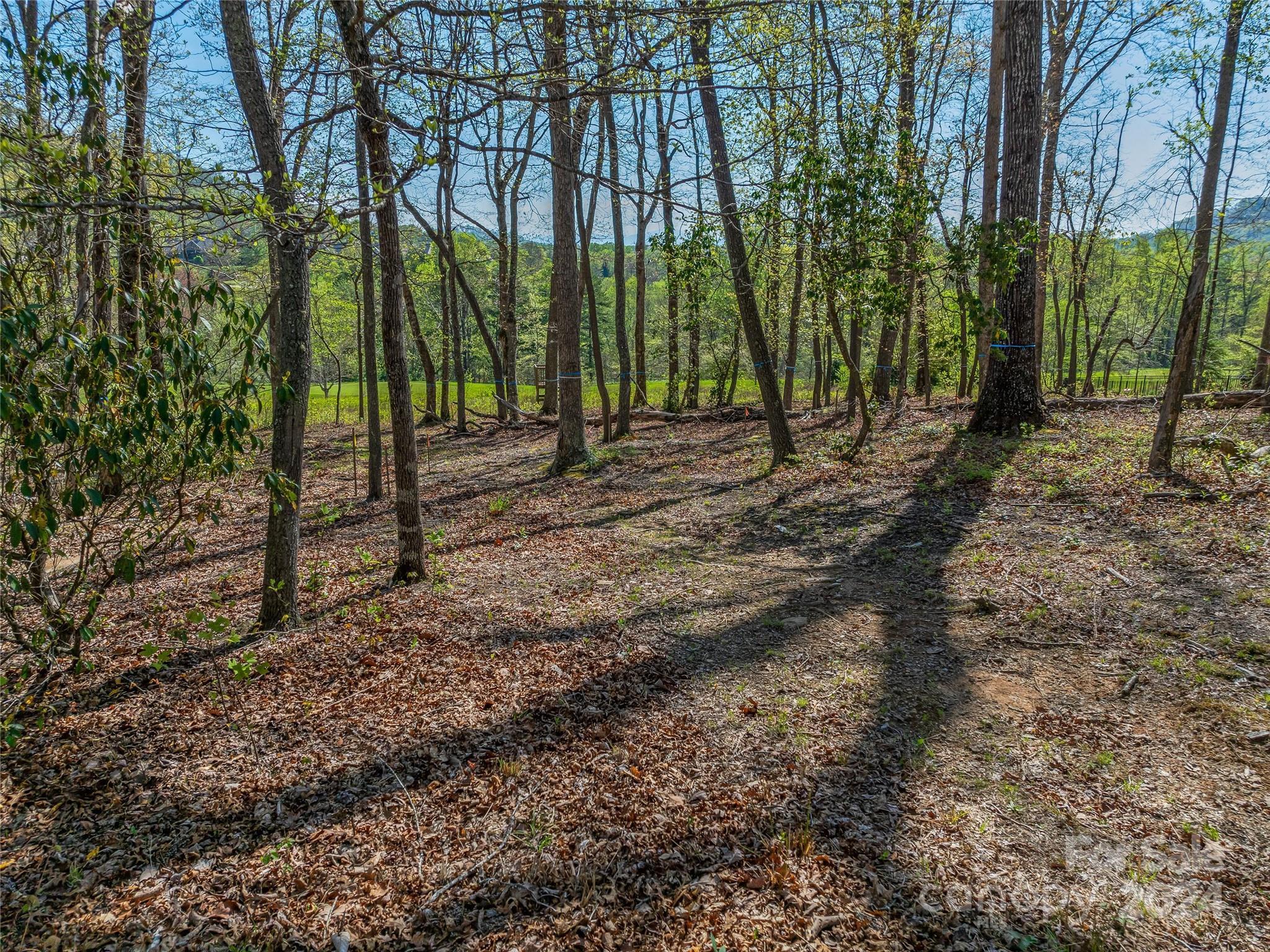 The Cliffs At Walnut Cove - Land
