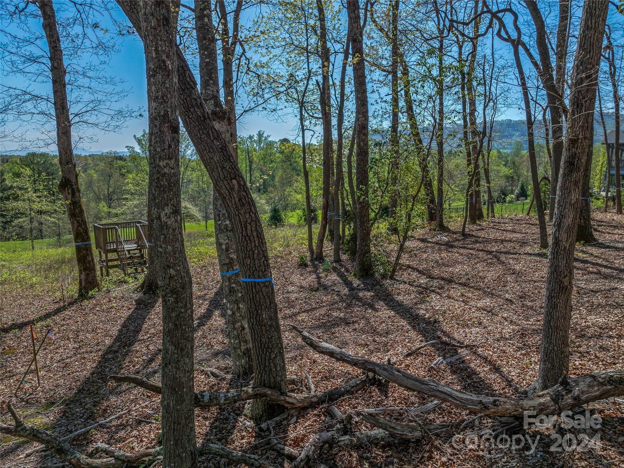 The Cliffs At Walnut Cove - Land