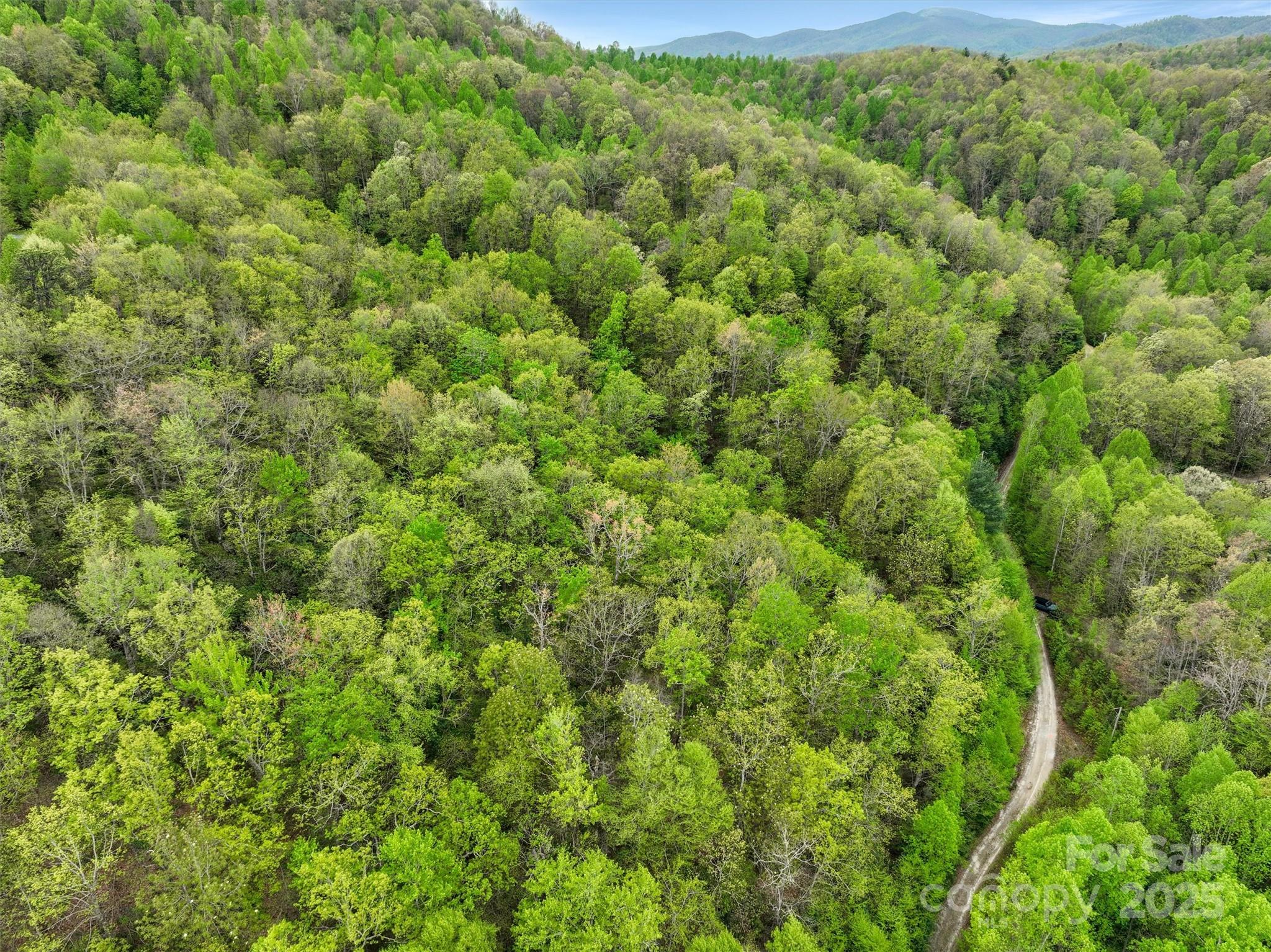 0 Bird Creek Estates Road