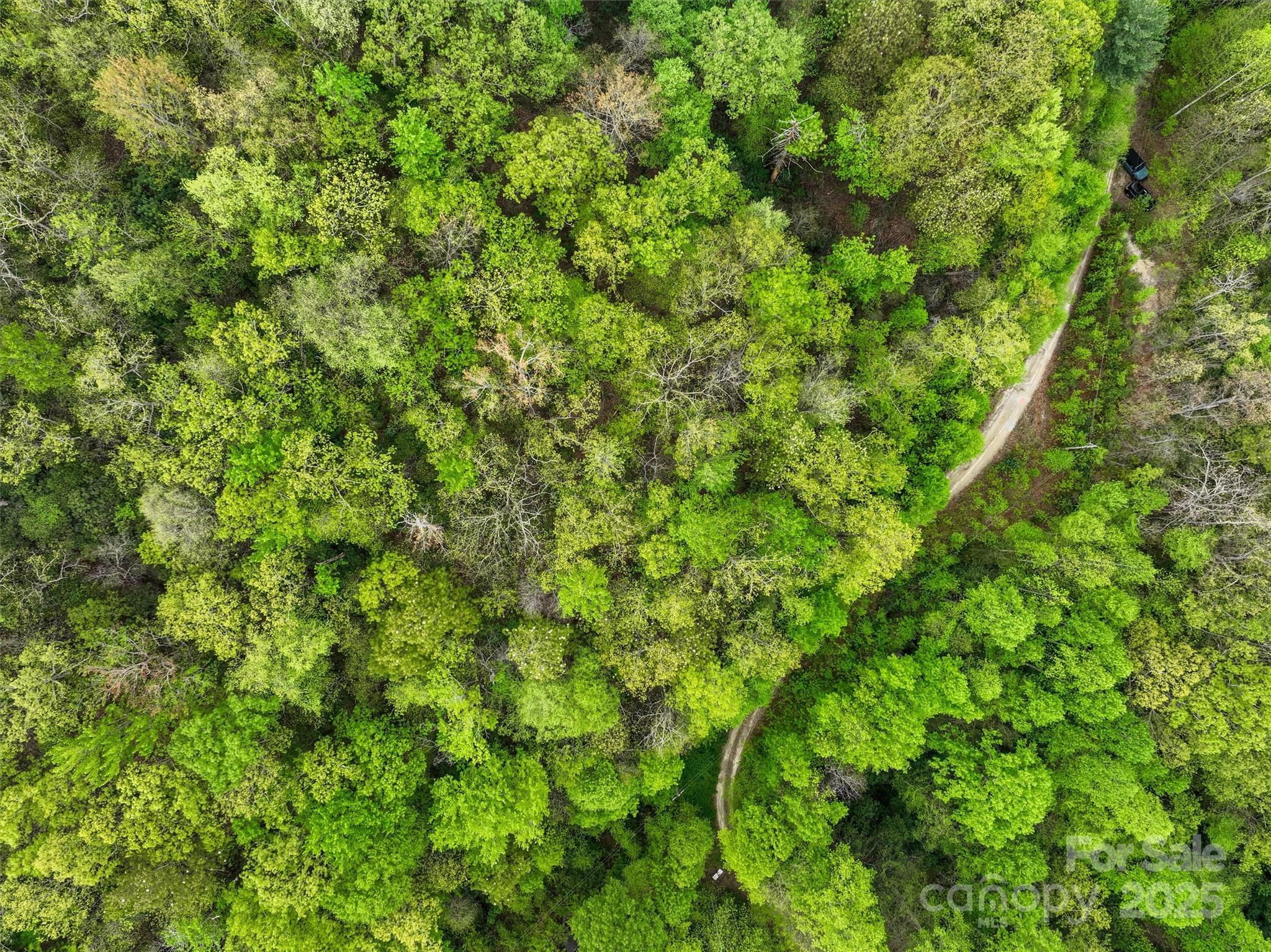 0 Bird Creek Estates Road