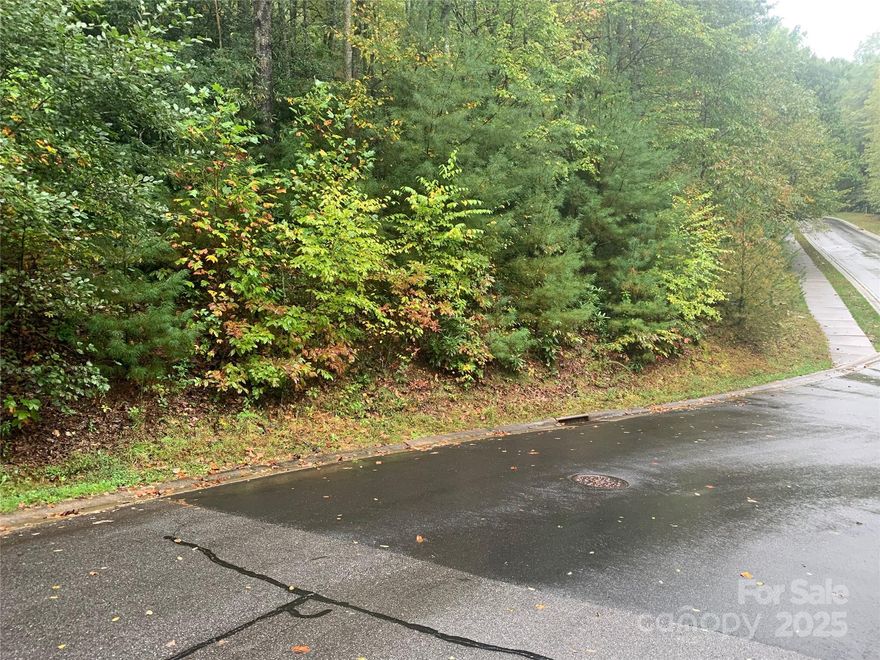 Wonderful opportunity to own an Estate lot in The Settings of Black Mountain. This lot is just over a half acre with a gentle slope up to what could be a view to the northwest. Nice private corner location not far from the entrance. The Settings is the only gated community in Black Mountain's town limits, and the neighborhood offers hiking trails, an incredible clubhouse, a playground, and sidewalks. All utilities are underground public water/sewer, fiber optics, and natural gas are available. Enjoy the privacy of this lovely community yet only 2 miles to downtown.