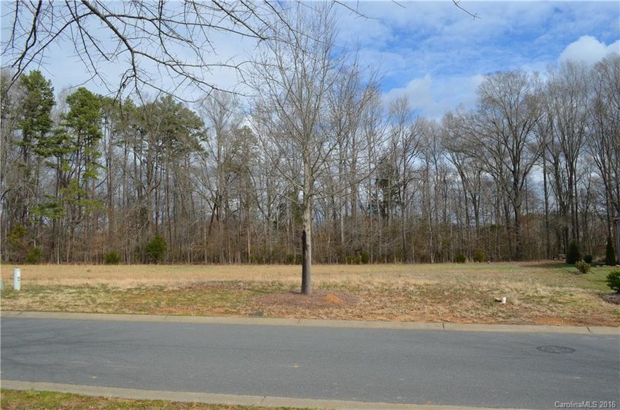 Perfect level lot with woods in the rear. On an outside bend which makes for a great back yard. Located in one of the most prestigious gated neighborhoods in union county/ Weddington NC. County water and sewer. Skyecroft has miles of private walking trails, club house, tennis courts, swimming facility and multiple ponds. If you are looking to build your dream home this is the place. You won't find a better lot and at a price that can't be beat.