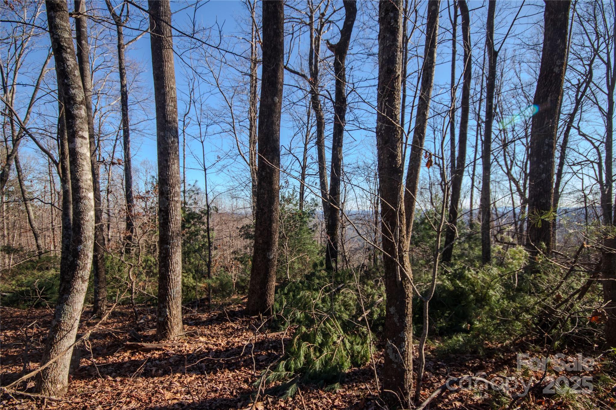 Eagle Heights - Land