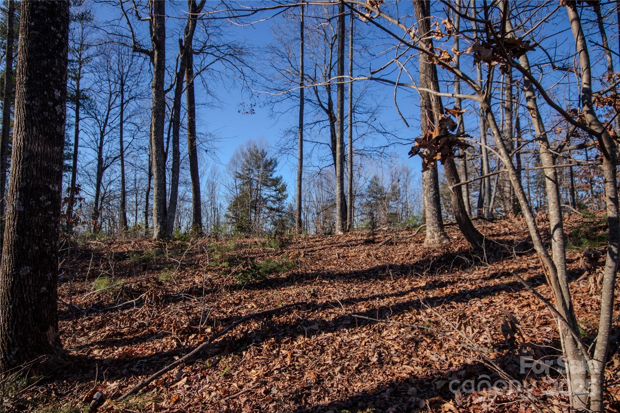 Eagle Heights - Land