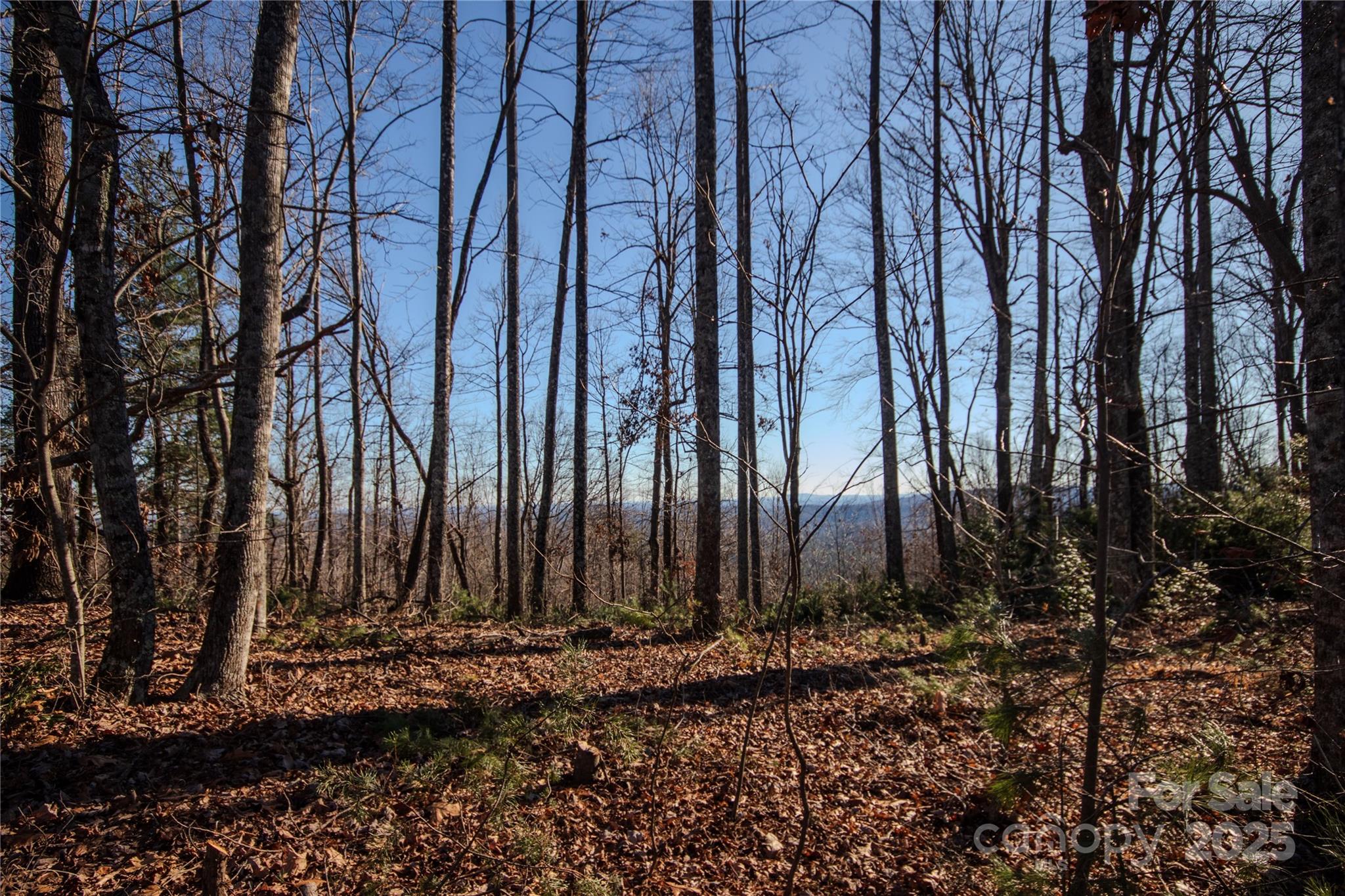 Eagle Heights - Land