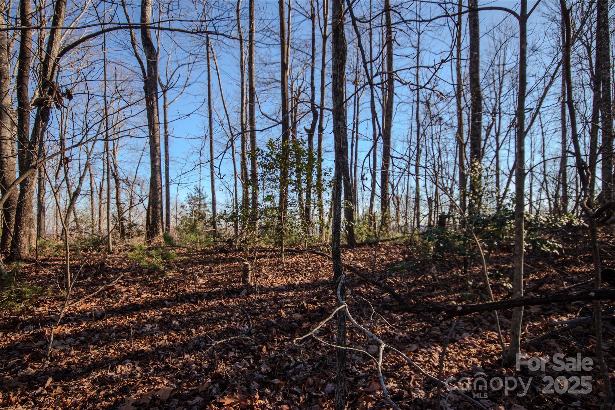 Eagle Heights - Land