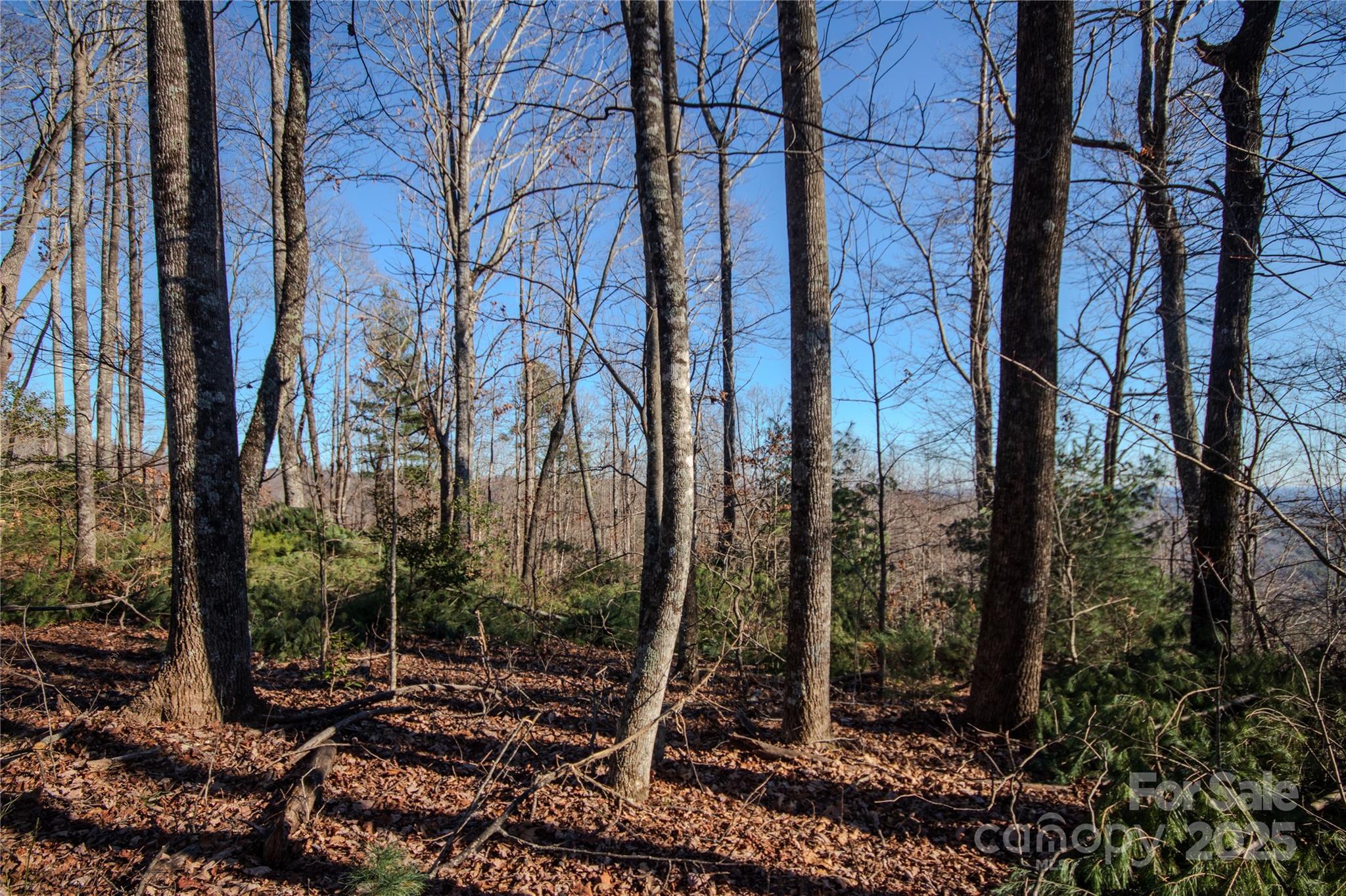 Eagle Heights - Land