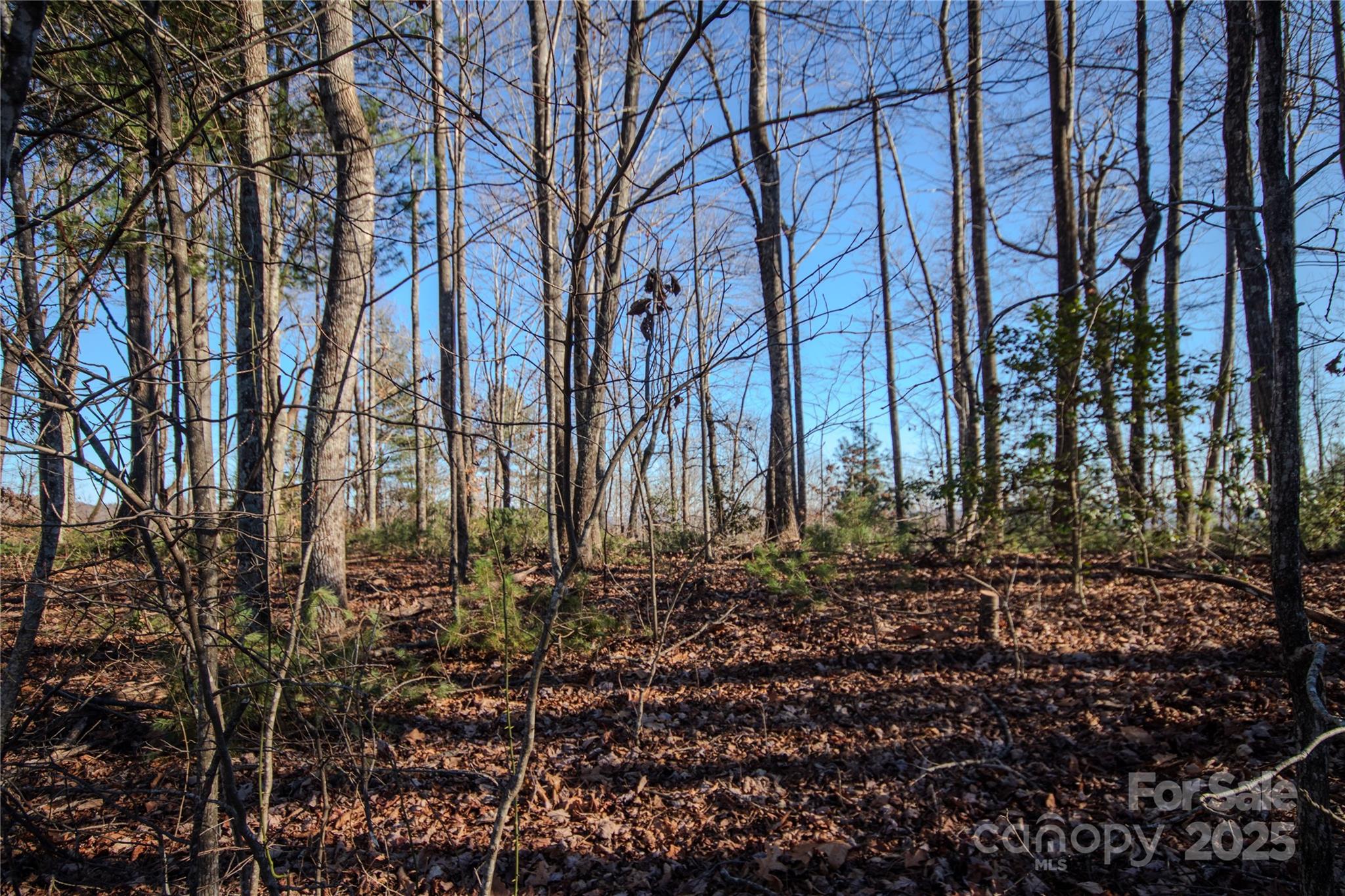 Eagle Heights - Land