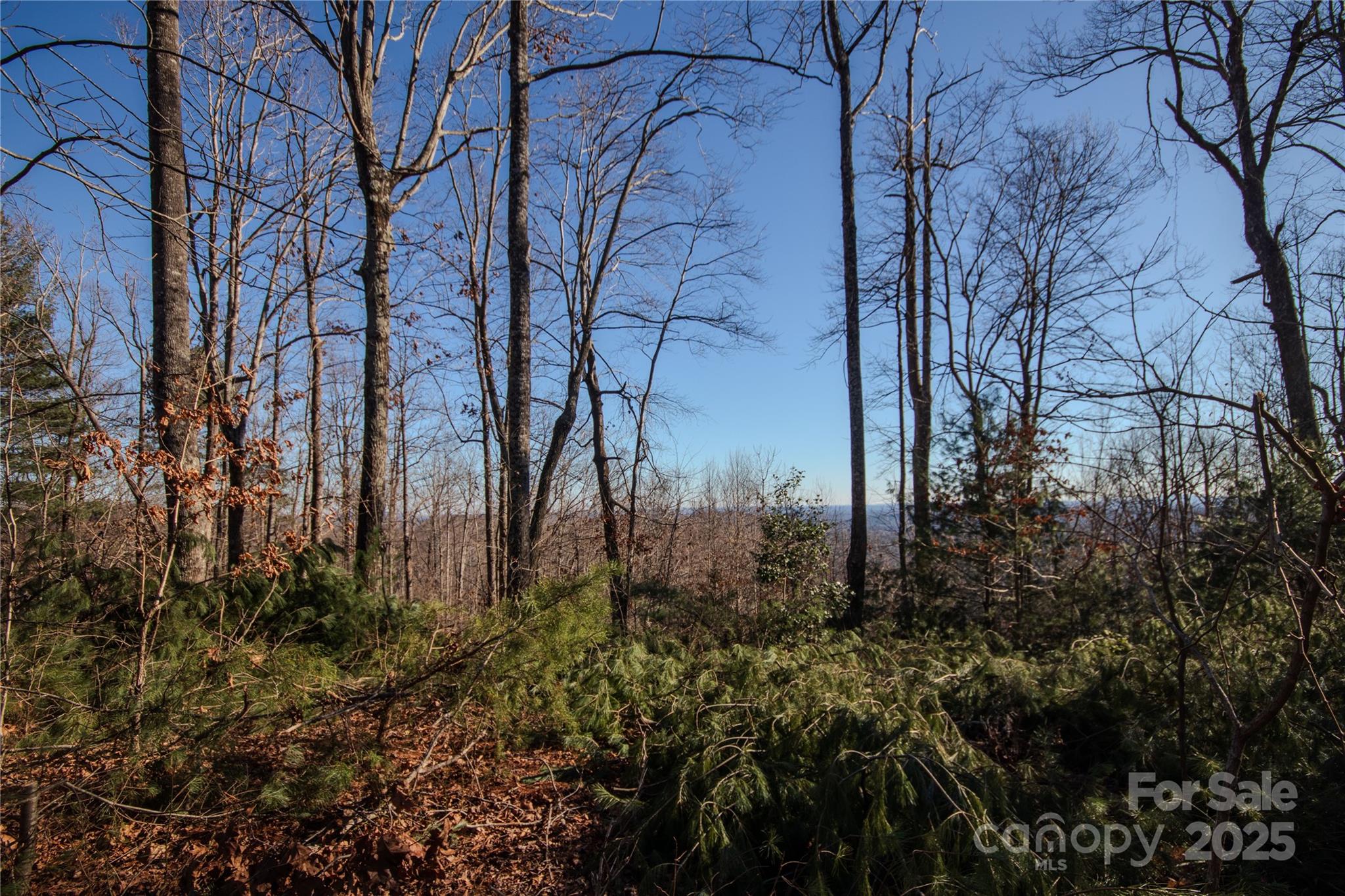 2209 Nighthawk Ridge Court 23