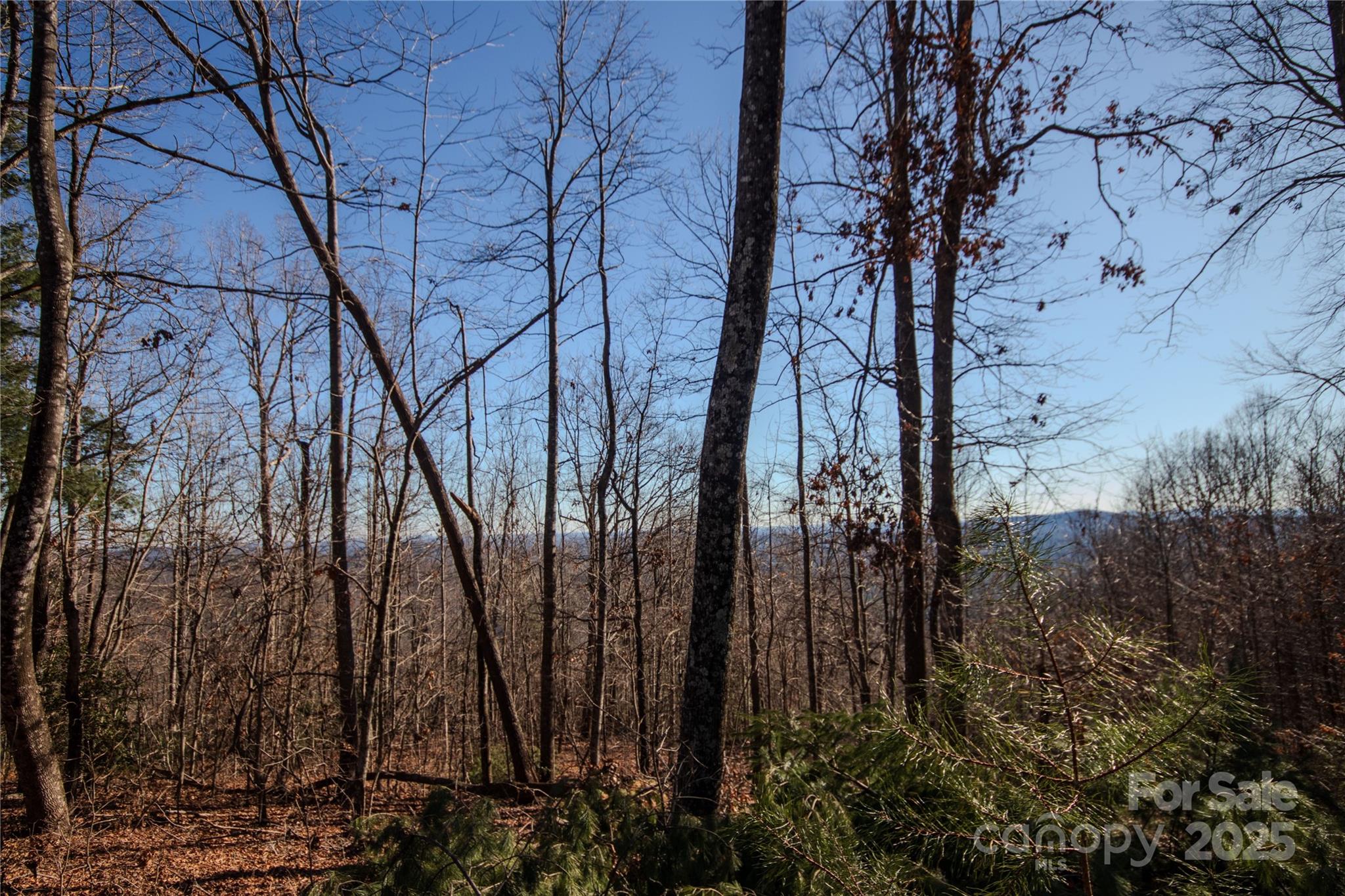 Eagle Heights - Land