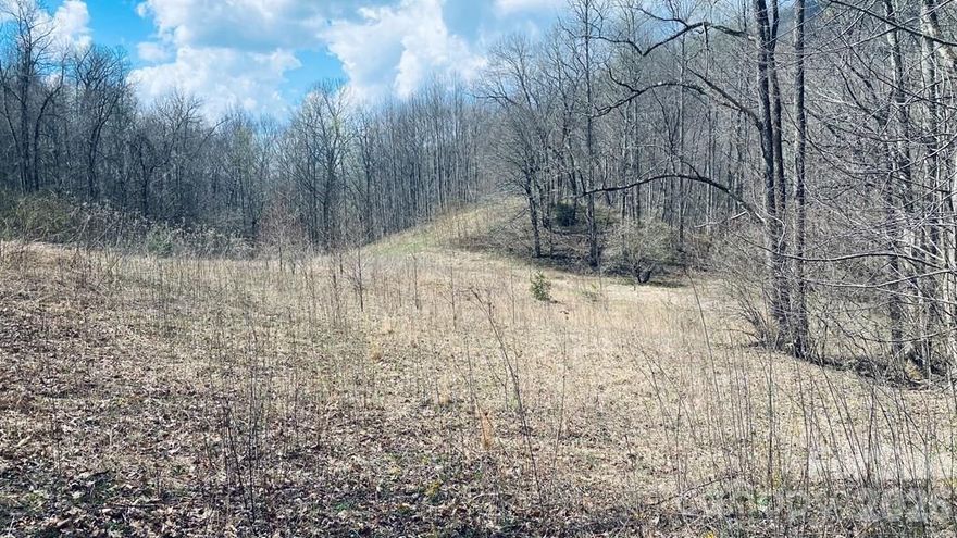 PRICE IMPROVEMENT! Tranquil Mountain Setting with this breathtaking 18+ acre mountain retreat in the Asher Mountain of Caney Fork subdivision! Surrounded by serene natural beauty at an average elevation of 3,200 ft, this property offers endless possibilities—subdivide into six, 3-acre lots (per county approval) or create a private haven for ultimate seclusion. Whether you're searching for the perfect spot to build your mountain home or a savvy investment opportunity, this unique property is priced to sell. Don't miss your chance to own a piece of mountain paradise!