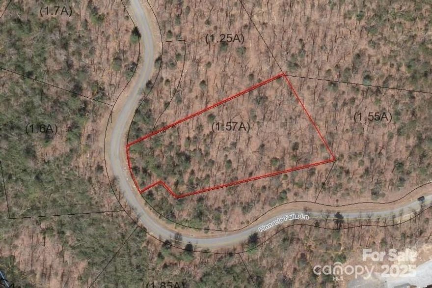 Enchanting, unspoiled and designed to capture the spirit of outdoor living lies Pinnacle Falls, a private gated community where over half the property is preserved and protected as common area to be enjoyed by all residents. Features clubhouse lodge, pool, hot tub, fitness area, hiking trails, waterfalls, ponds and streams. Build your dream home on this 1.57 acre lot. Underground utilities. Minutes to Downtown Hendersonville. Experience a place to re-balance and reflect on life’s simple pleasures. This is truly A PLACE LIKE NO OTHER!