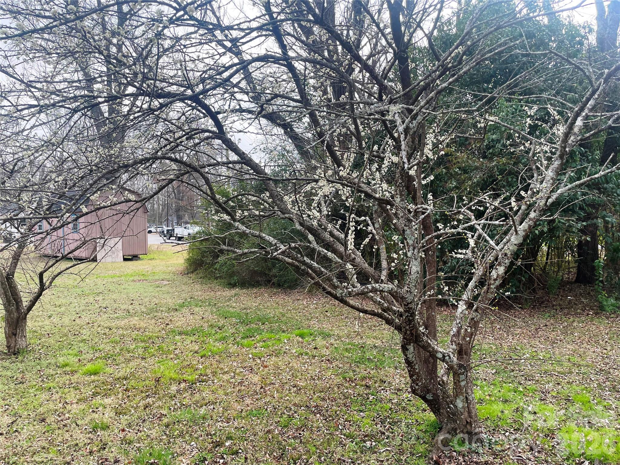 Sunset Park - Residential