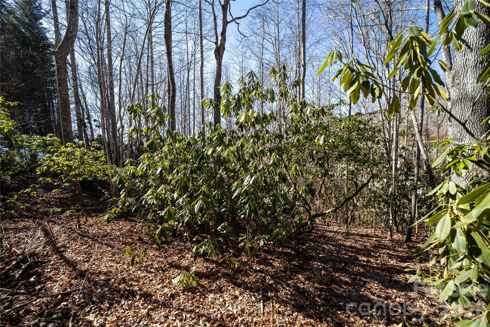 Cummings Cove - Land