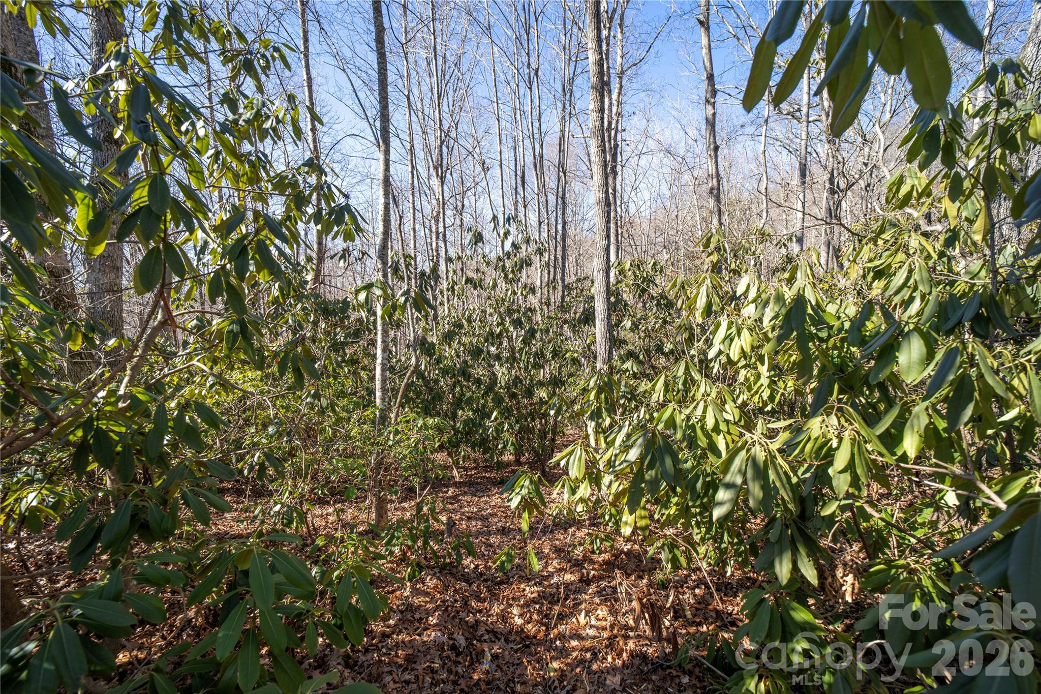 Cummings Cove - Land