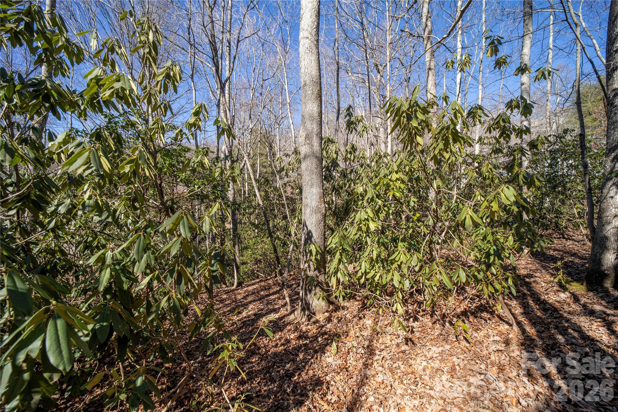 Cummings Cove - Land