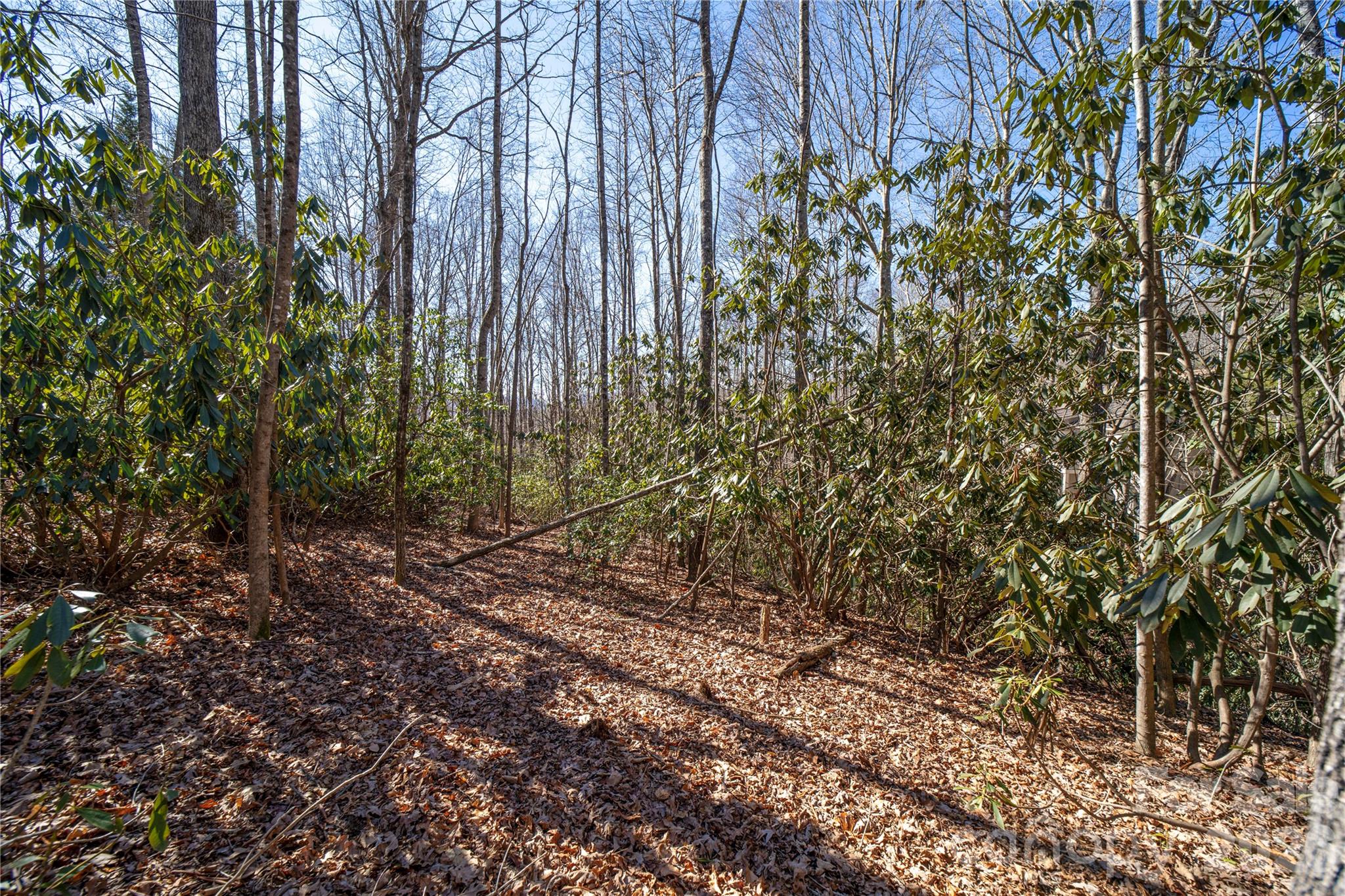 Cummings Cove - Land