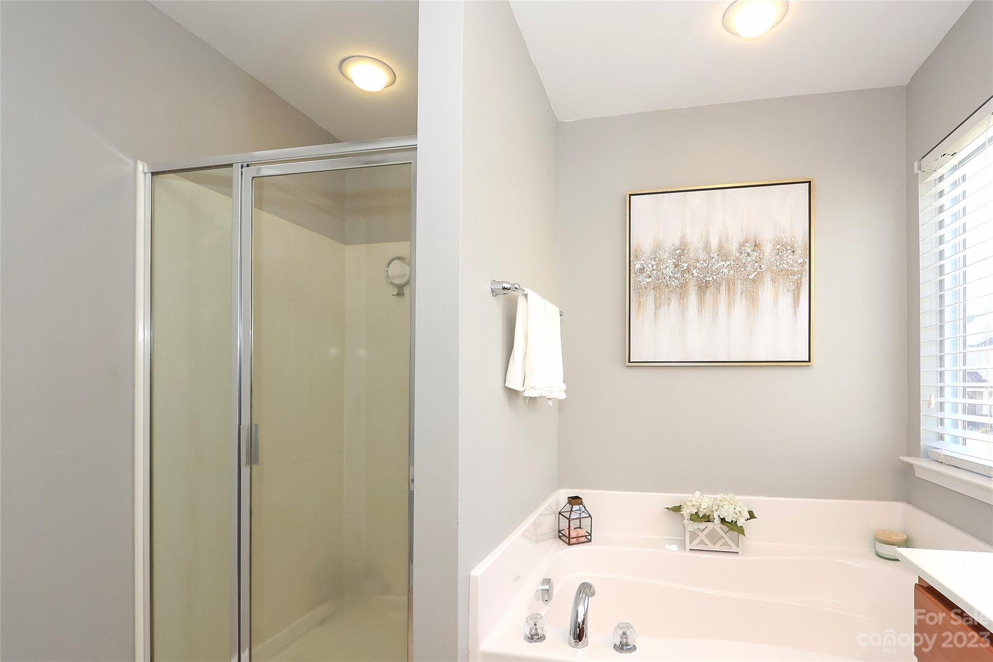 The Vineyards on Lake Wylie - Residential