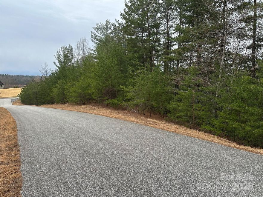 This gorgeous 1.65AC lot in Bear Cliff Subdivision is the perfect spot to build your dream home. With a great mix of trees and open space, you'll enjoy privacy and natural beauty. Ride your golf cart to Bear Creek Marina for good food and live entertainment then hop on the boat for activities like boating, fishing, swimming and a good time.
The community offers a quiet, relaxing atmosphere, making it the ideal place to escape or live full-time. Don’t miss out on this incredible opportunity!